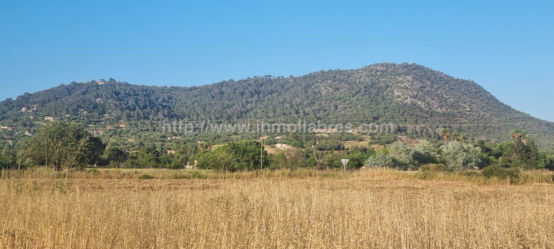 Terreno en venta en Inca - Foto 4
