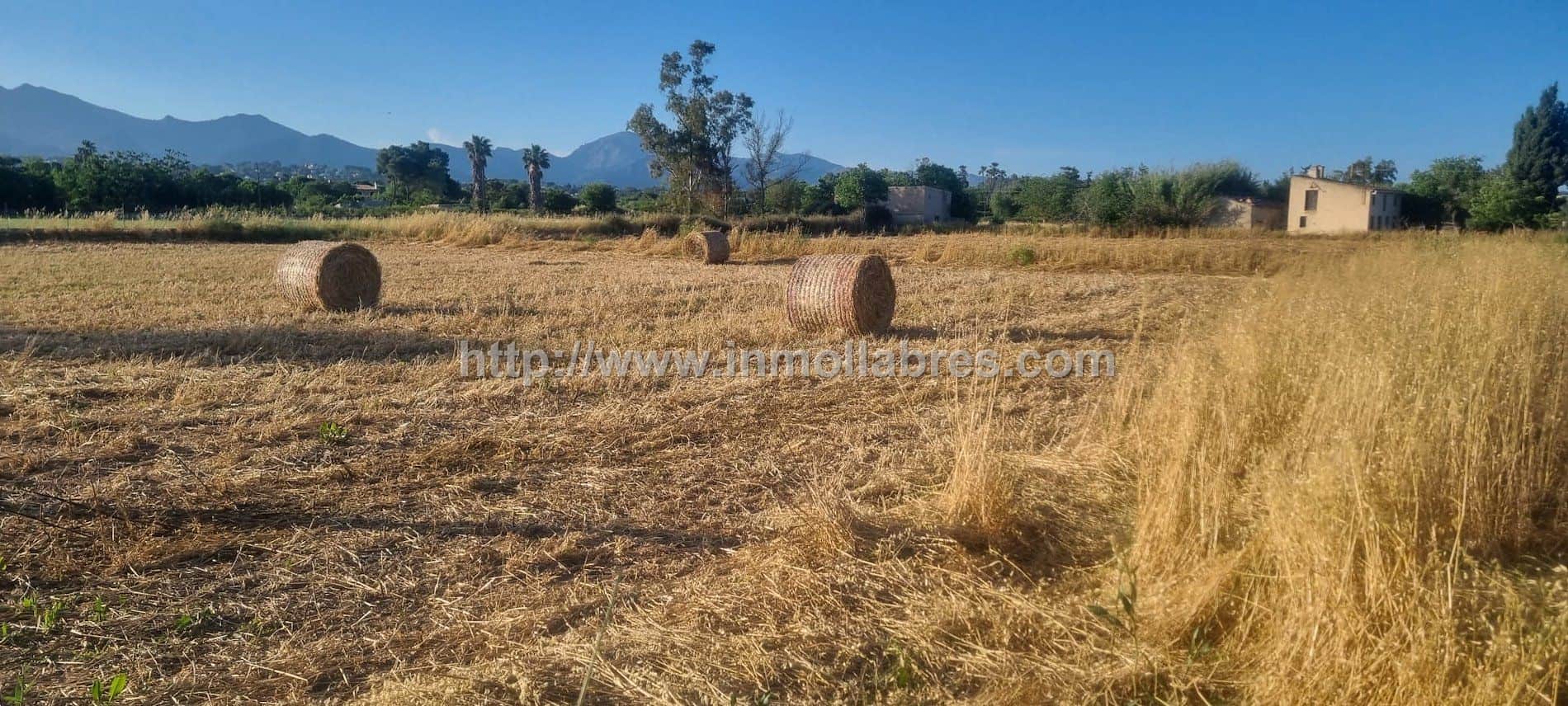 Terreno en venta en Inca - Foto 2