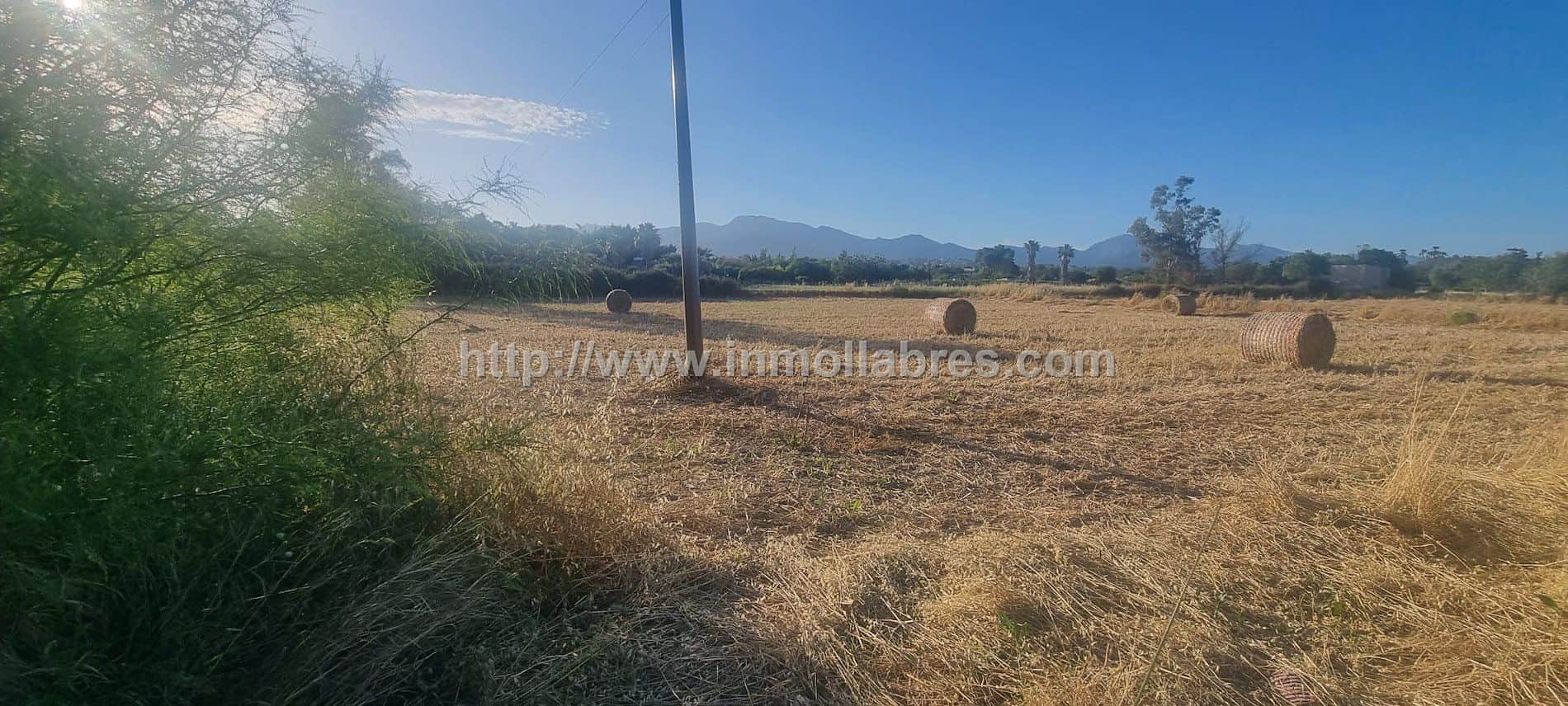 Terreno en venta en Inca - Foto 5