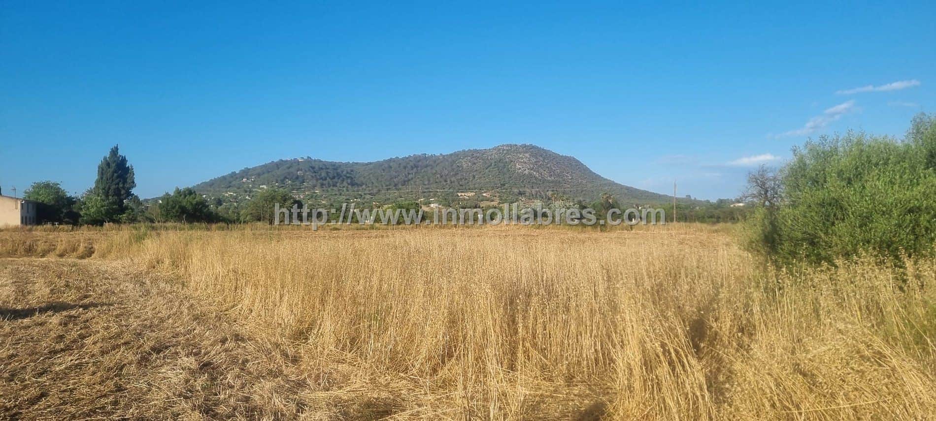 Terreno - Inca - Foto 1