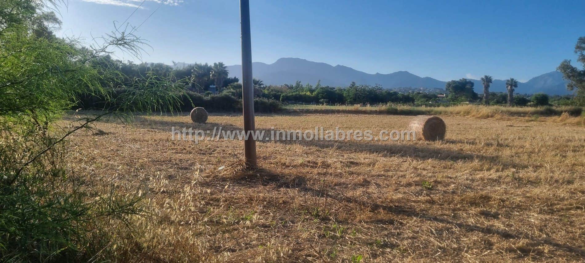 Terreno en venta en Inca - Foto 3