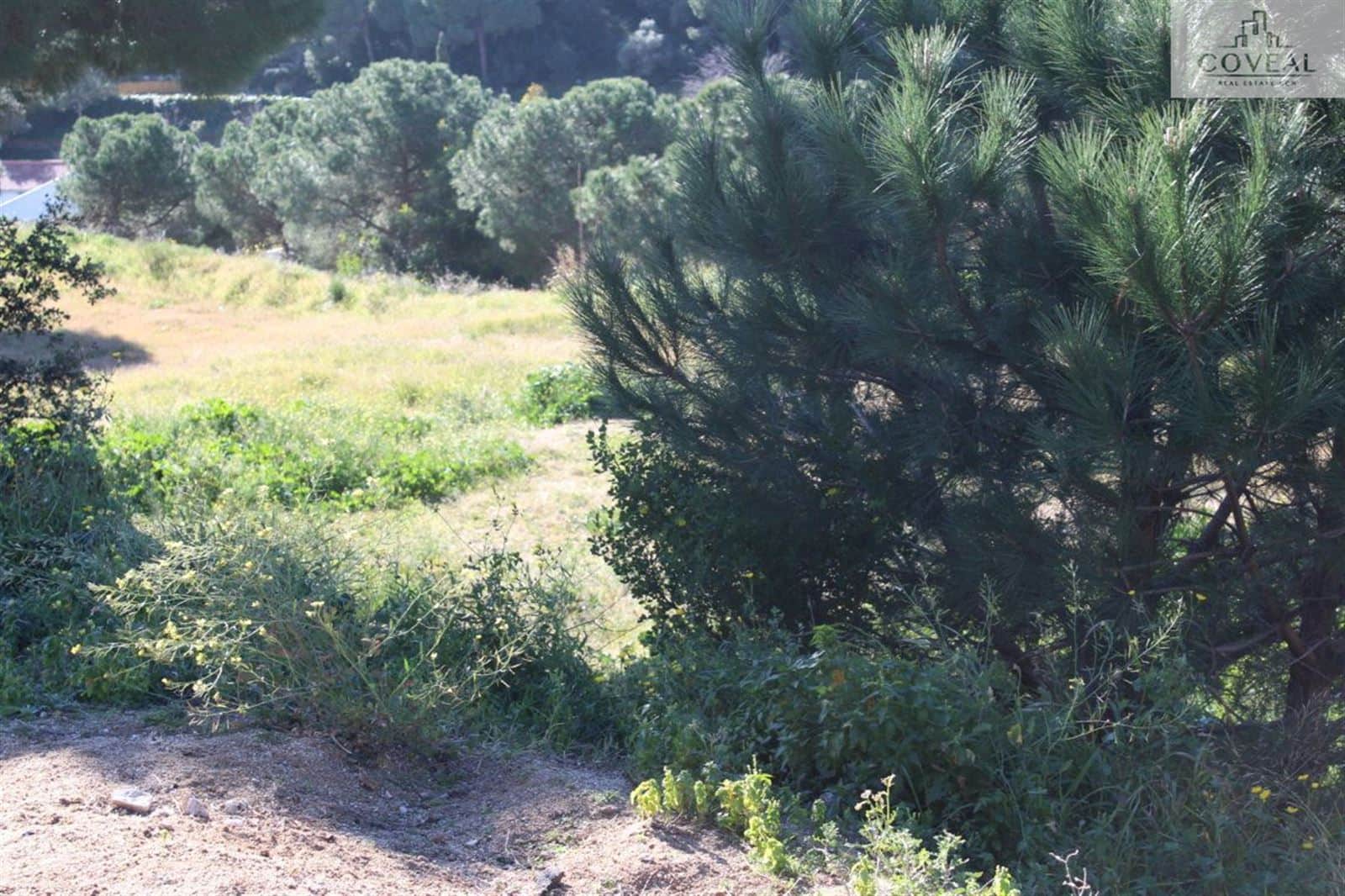 Gran parcela en Sant Andreu de Llavaneres ¡PRECIO A CONSULTAR! - Foto 4