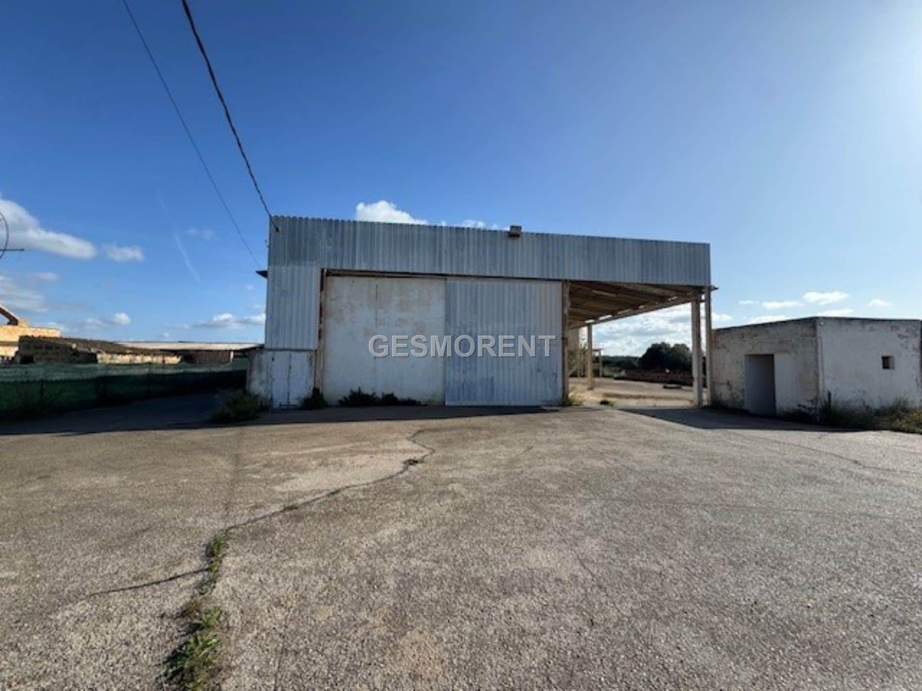 NAVE/ALMACÉN AGRÍCOLA EN VENTA EN SAN JORDI - Foto 1