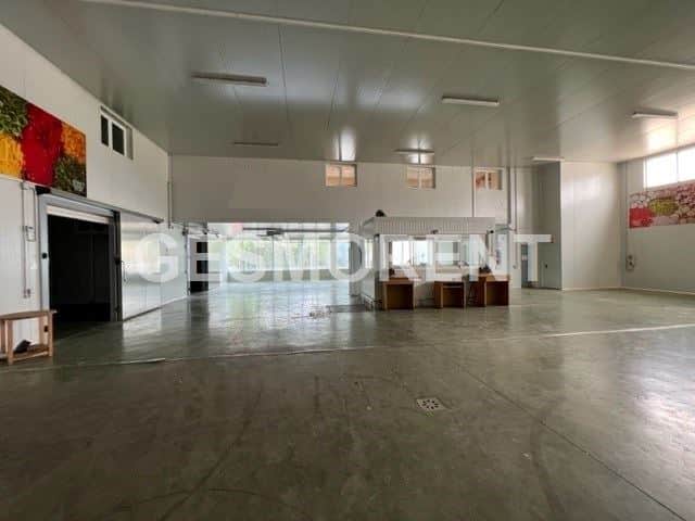 NAVE EN ALQUILER EN SA POBLA - Foto 3
