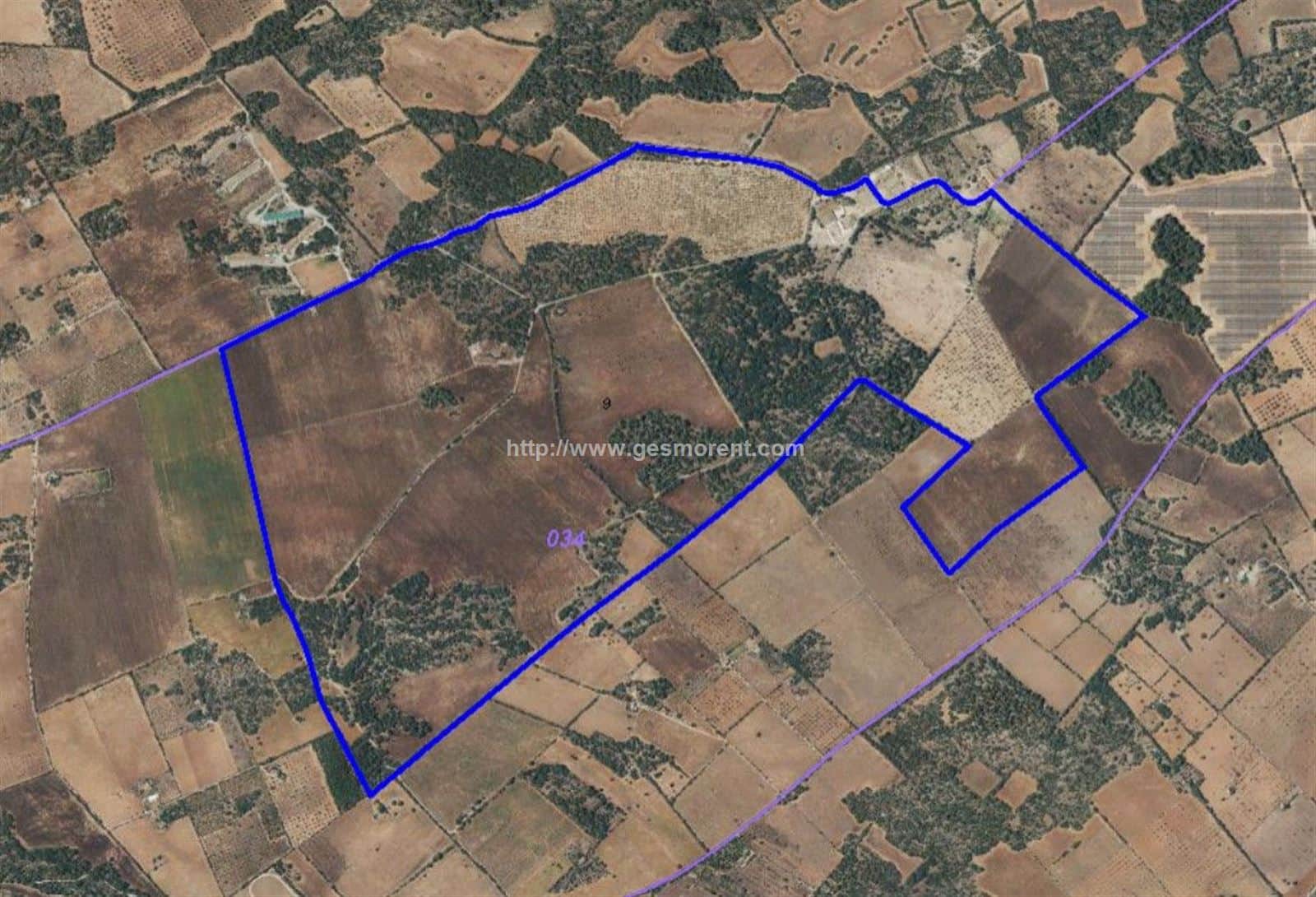 FINCA EN VENTA EN LLUCMAJOR - Foto 1