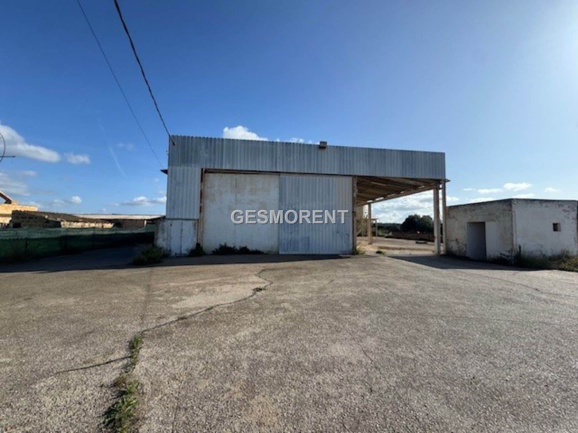 SUELO AGRARIO EN VENTA EN SANT JORDI - Foto 2