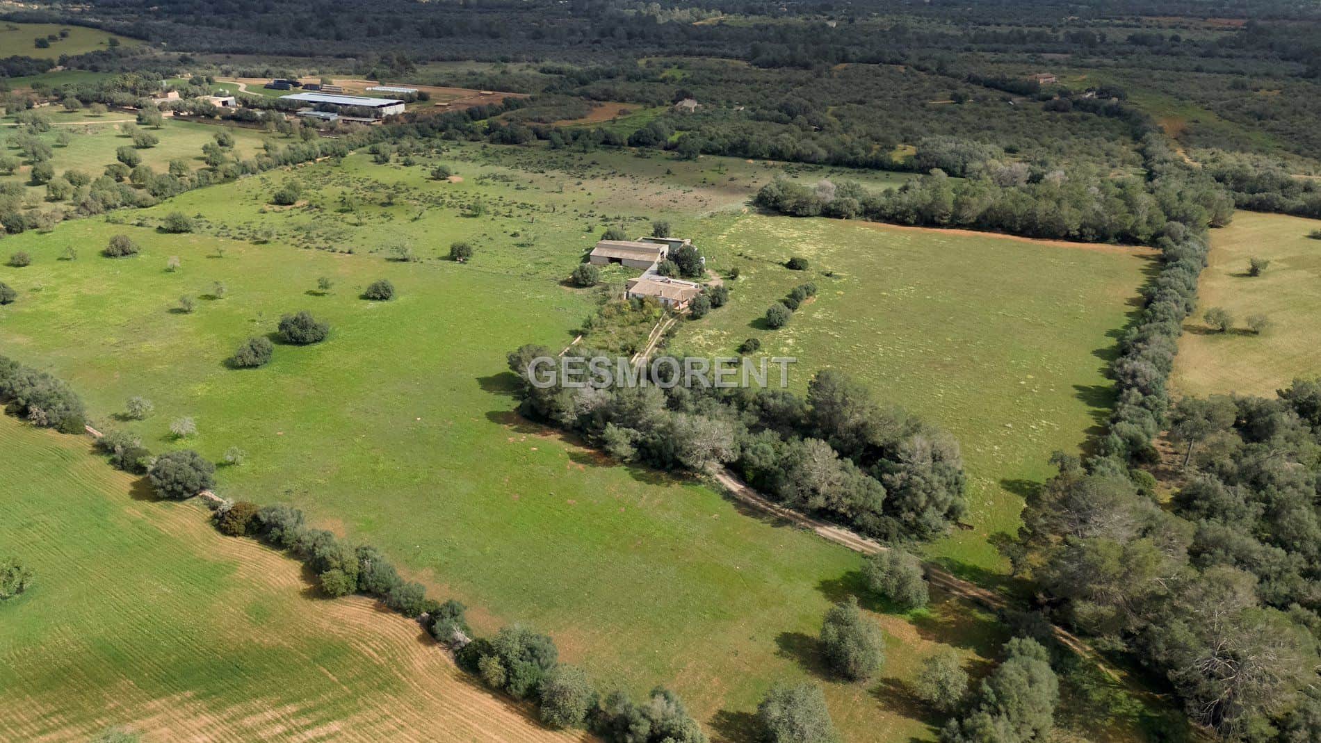 FINCA RÚSTICA EN VENTA EN PORRERES - Foto 3