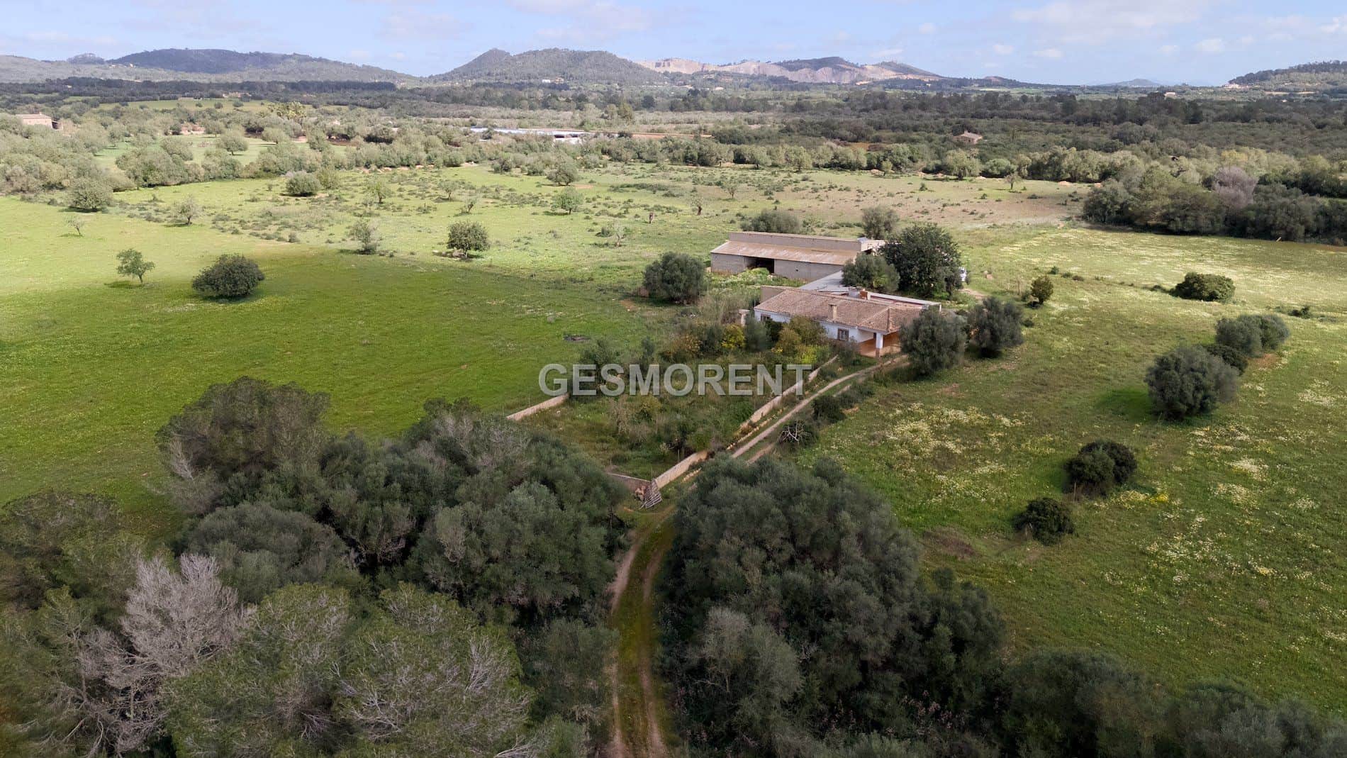 FINCA RÚSTICA EN VENTA EN PORRERES - Foto 4