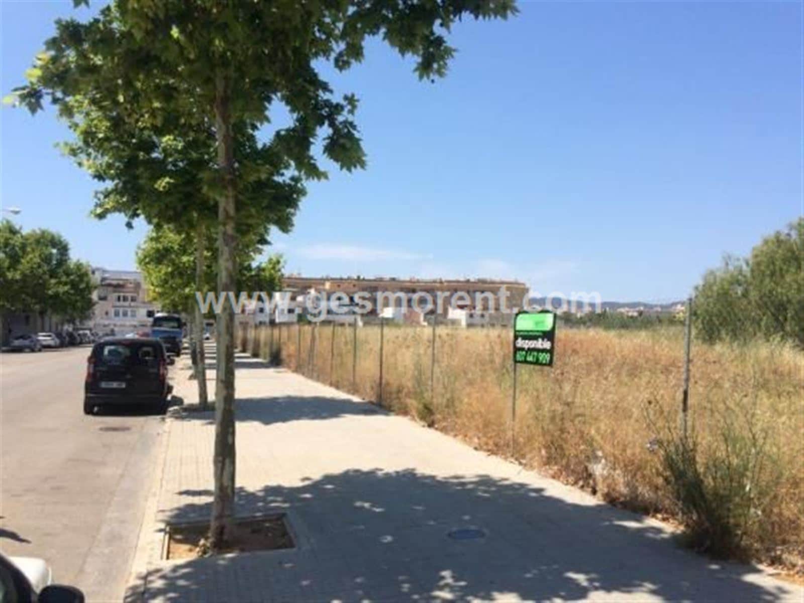 SE ALQUILA SOLAR EN POLIGONO SON FUSTER - Foto 1