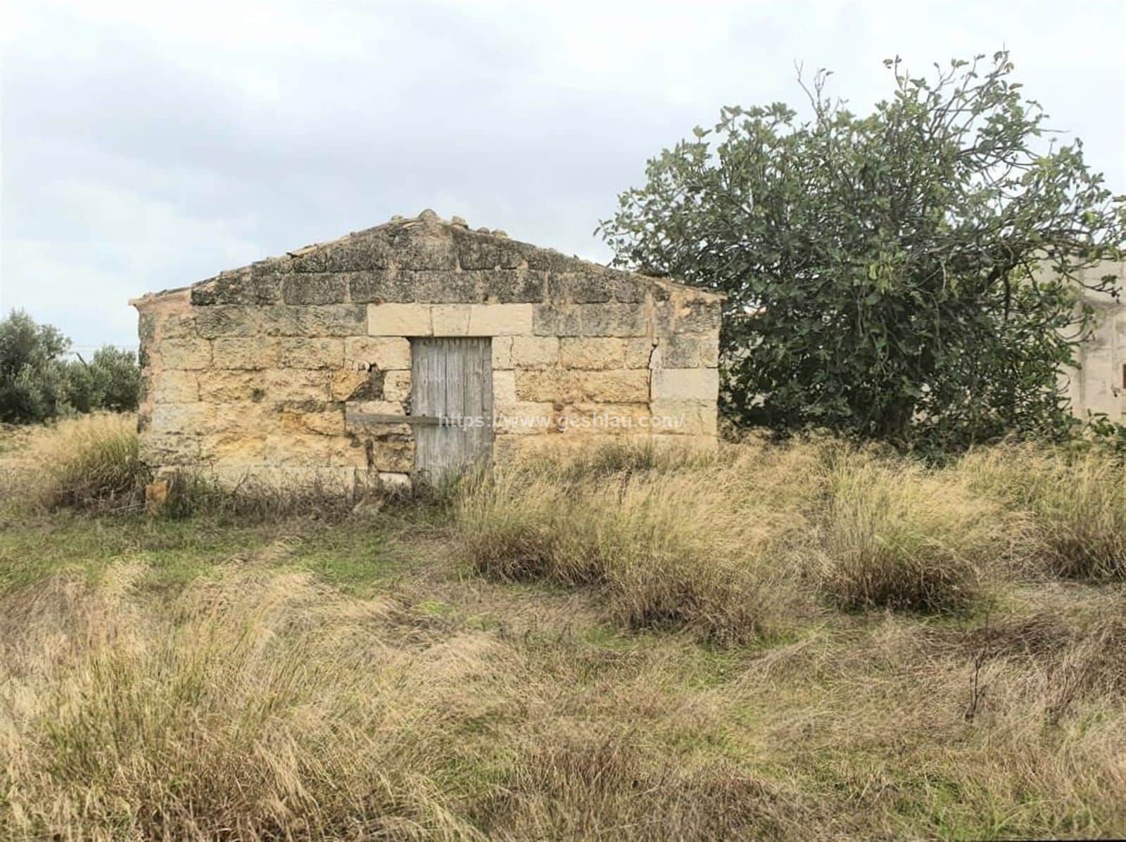 Finca rústica con caseta a reformar - Foto 2