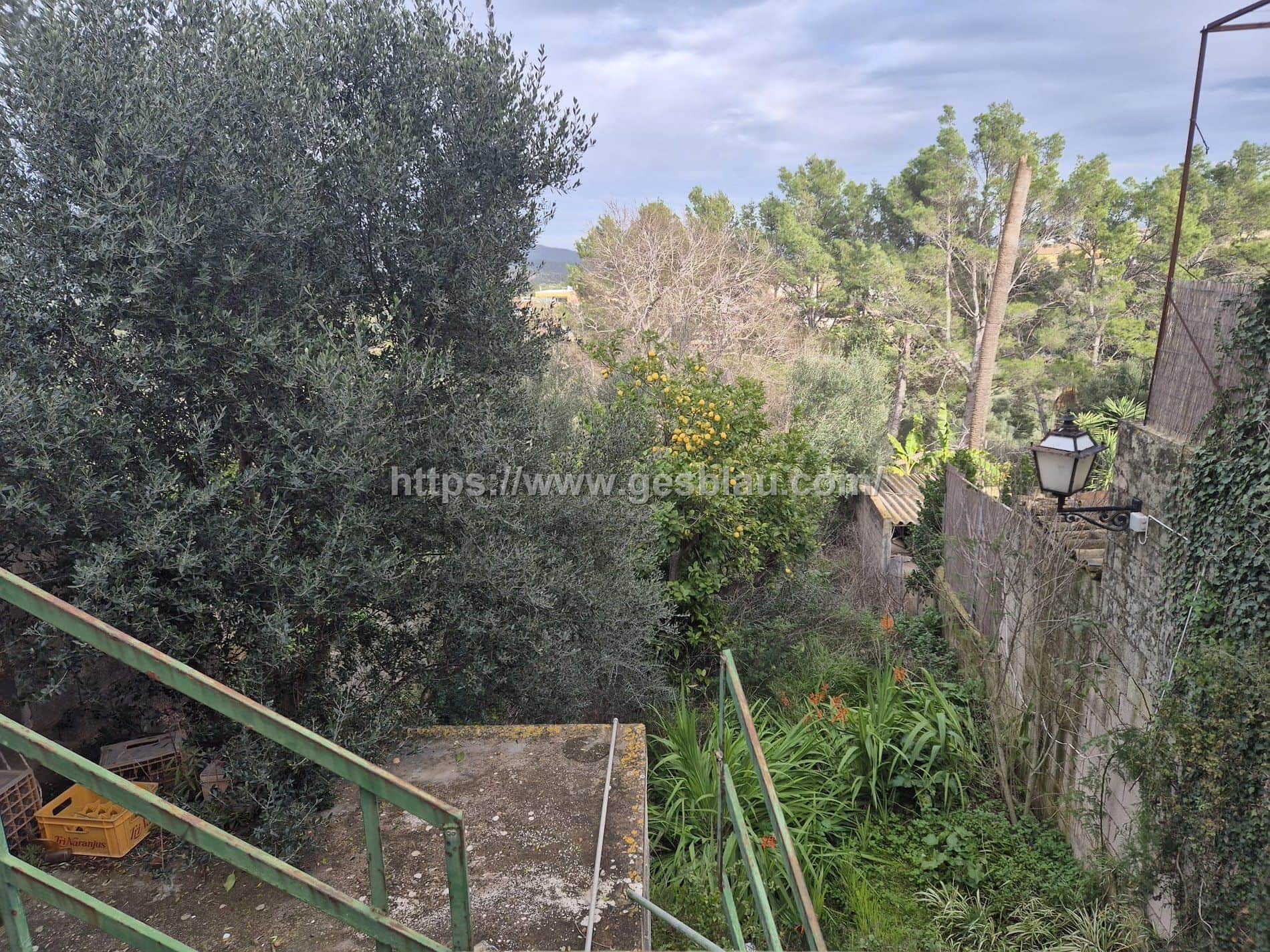 VENTA LOCAL COMERCIAL CAMPANET - Foto 4