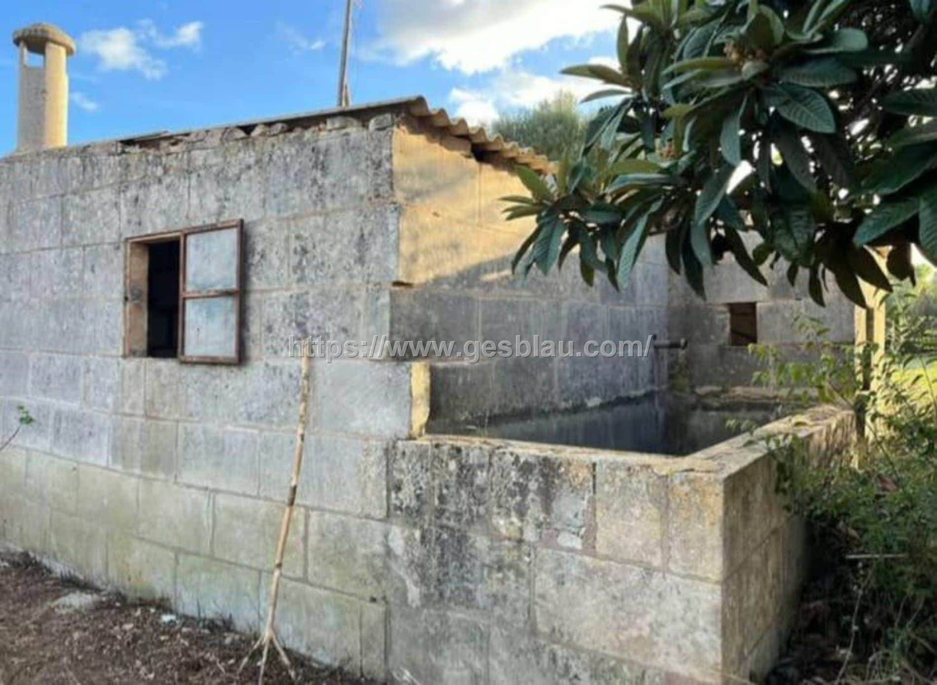 Caseta con agua y electricidad a reformar de 33 m2 en LLubí - Foto 5