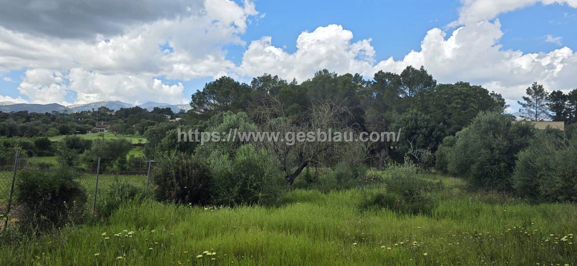 Finca rústica con caseta de 30 m2 - Foto 3