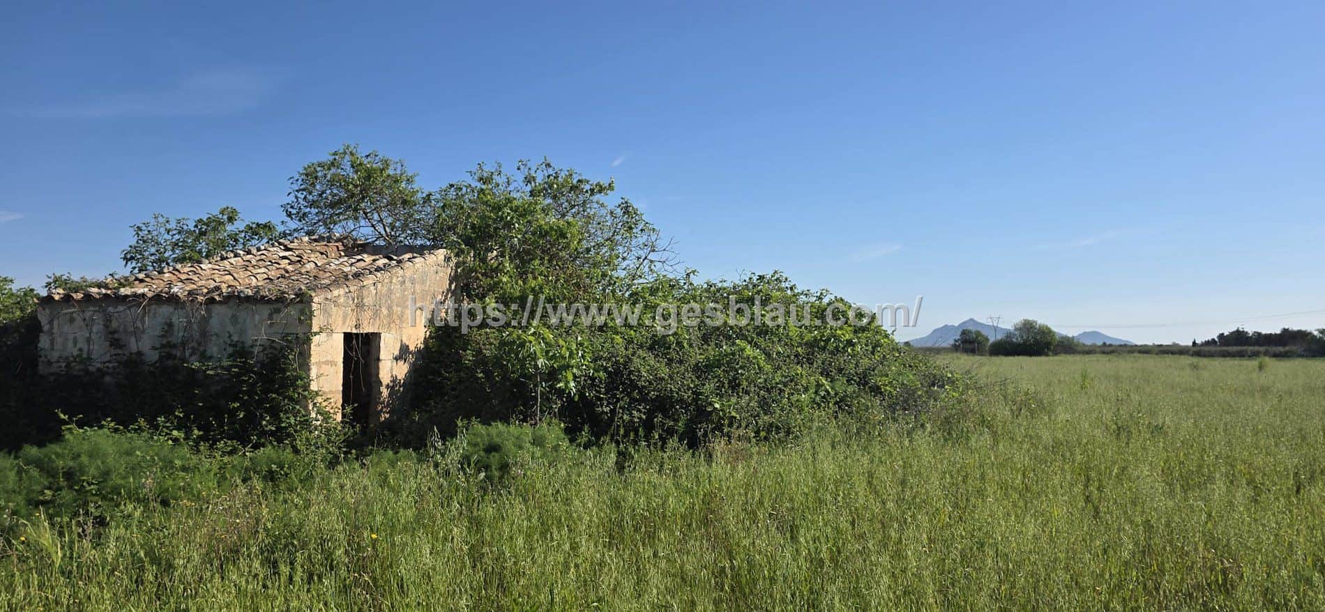 Finca rústica con caseta de 30 m2 - Foto 4