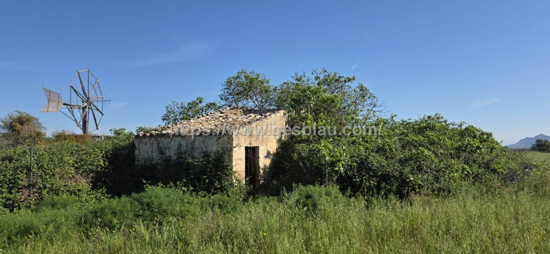 Finca rústica con caseta de 30 m2 - Foto 5