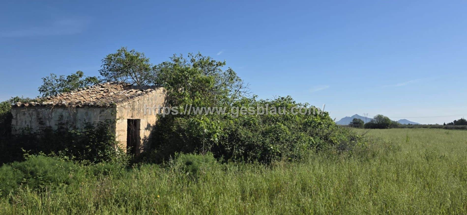 Finca rústica con caseta de 30 m2 - Foto 1