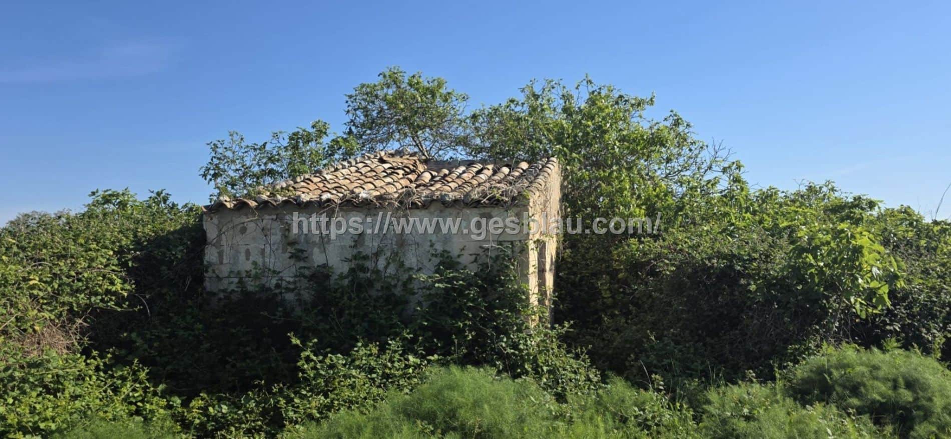 Finca rústica con caseta de 30 m2 - Foto 2