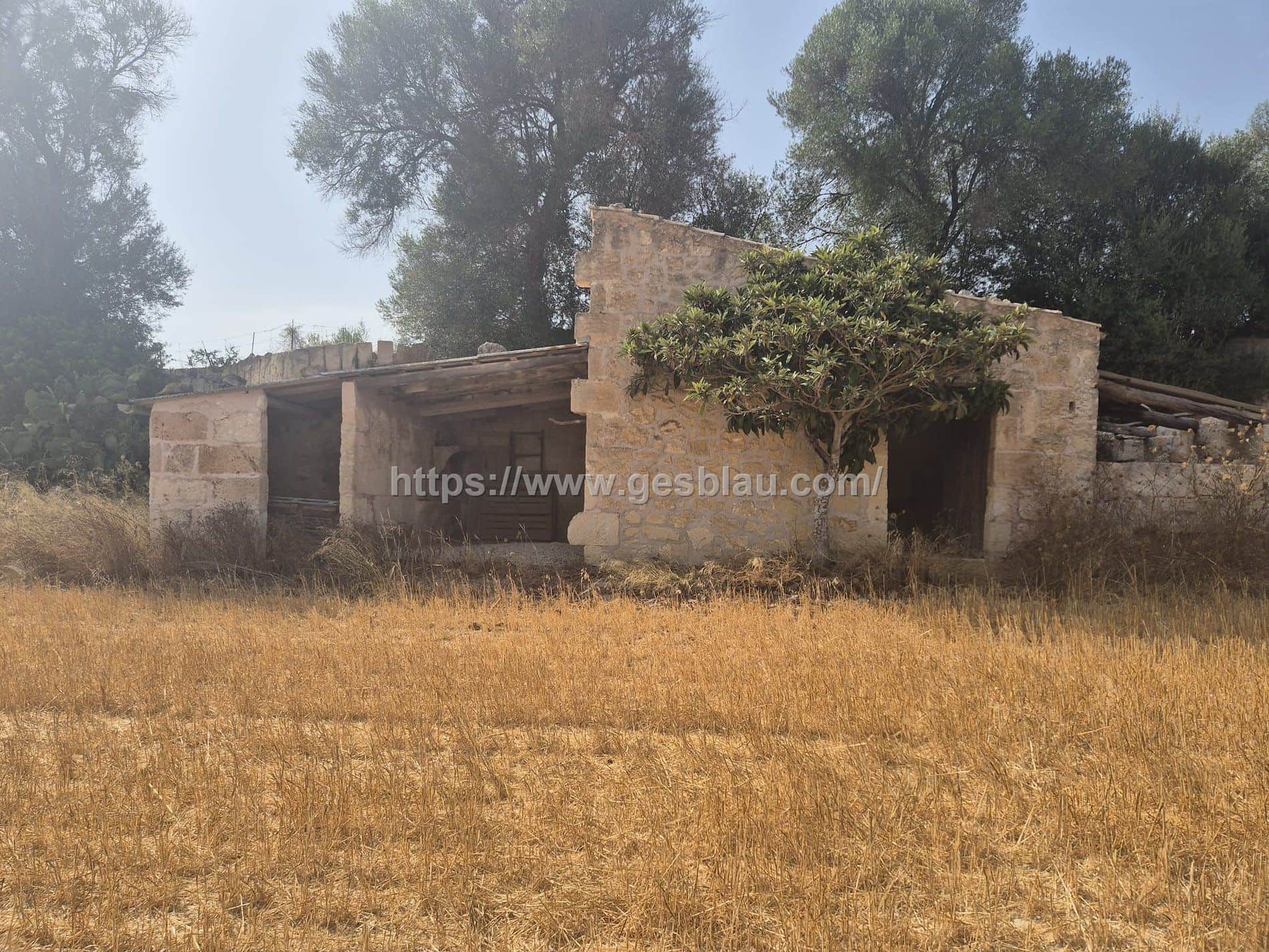 Terreno en venta en Muro - Foto 2