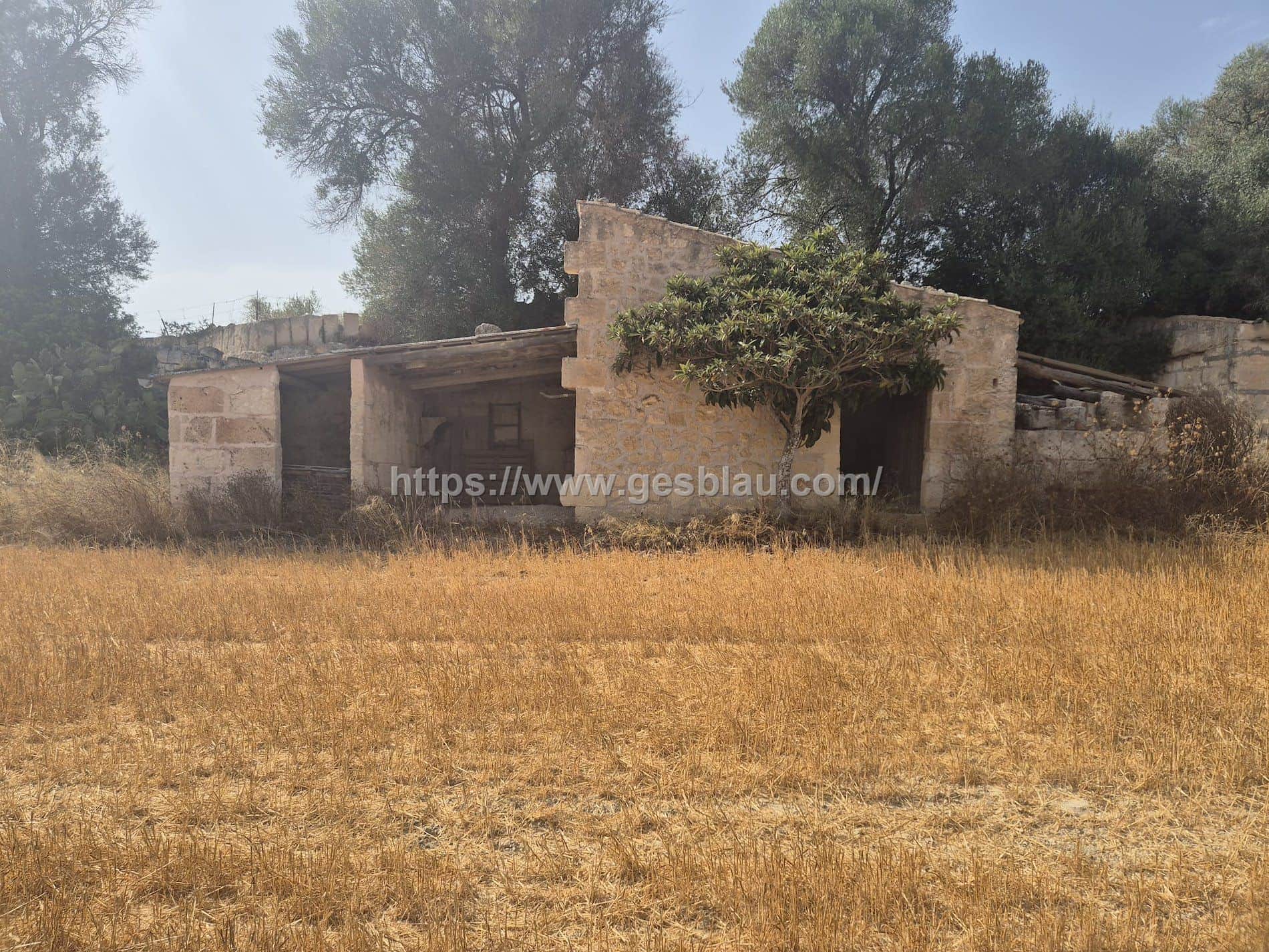 Terreno - Muro - Foto 1