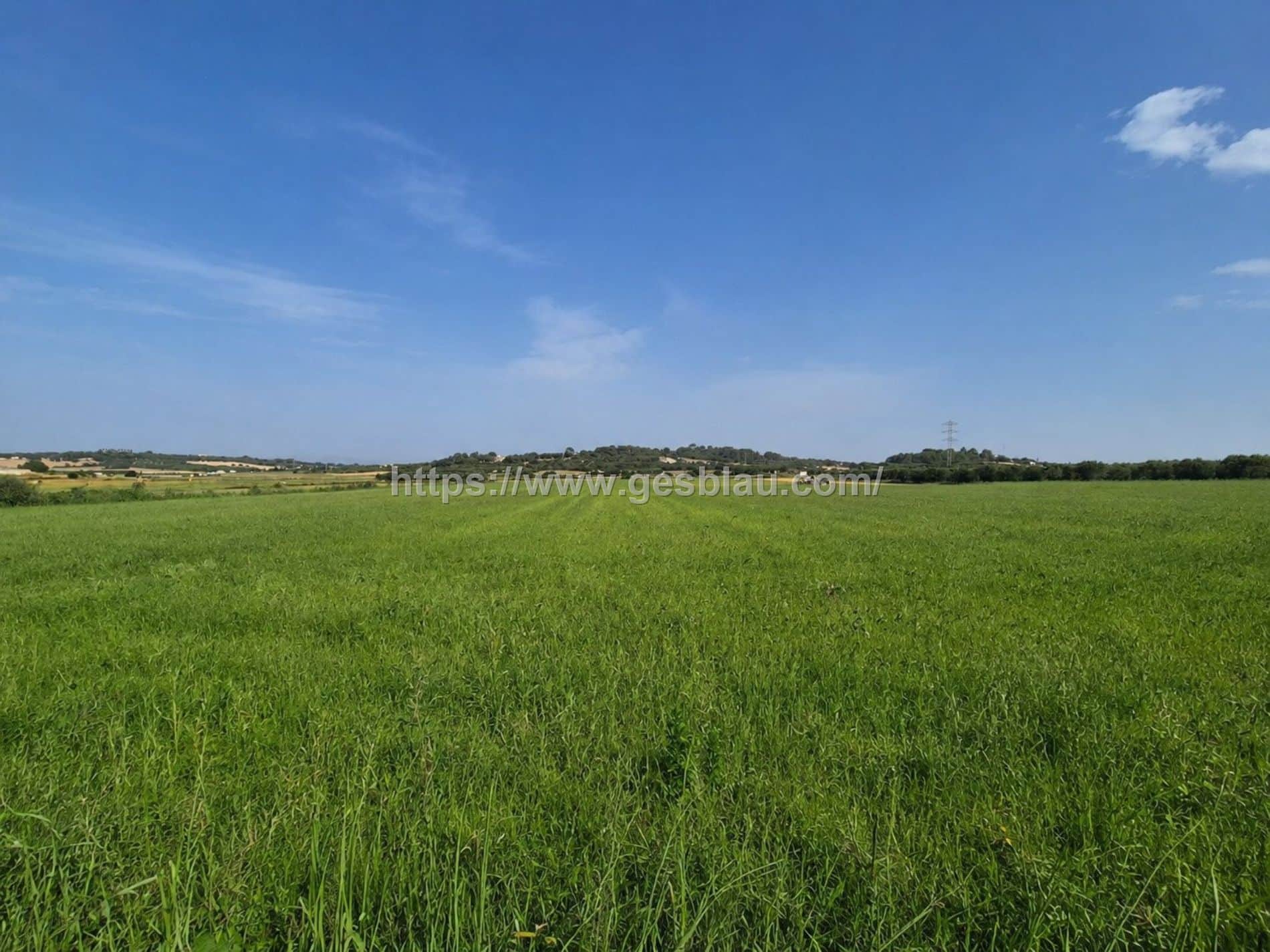 Terreno en venta en Muro - Foto 4