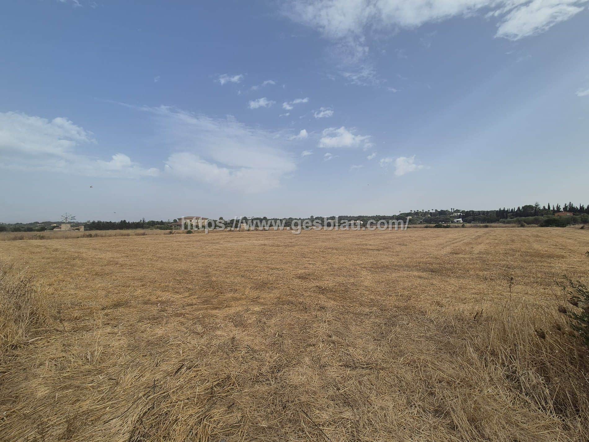 Terreno en venta en Muro - Foto 4