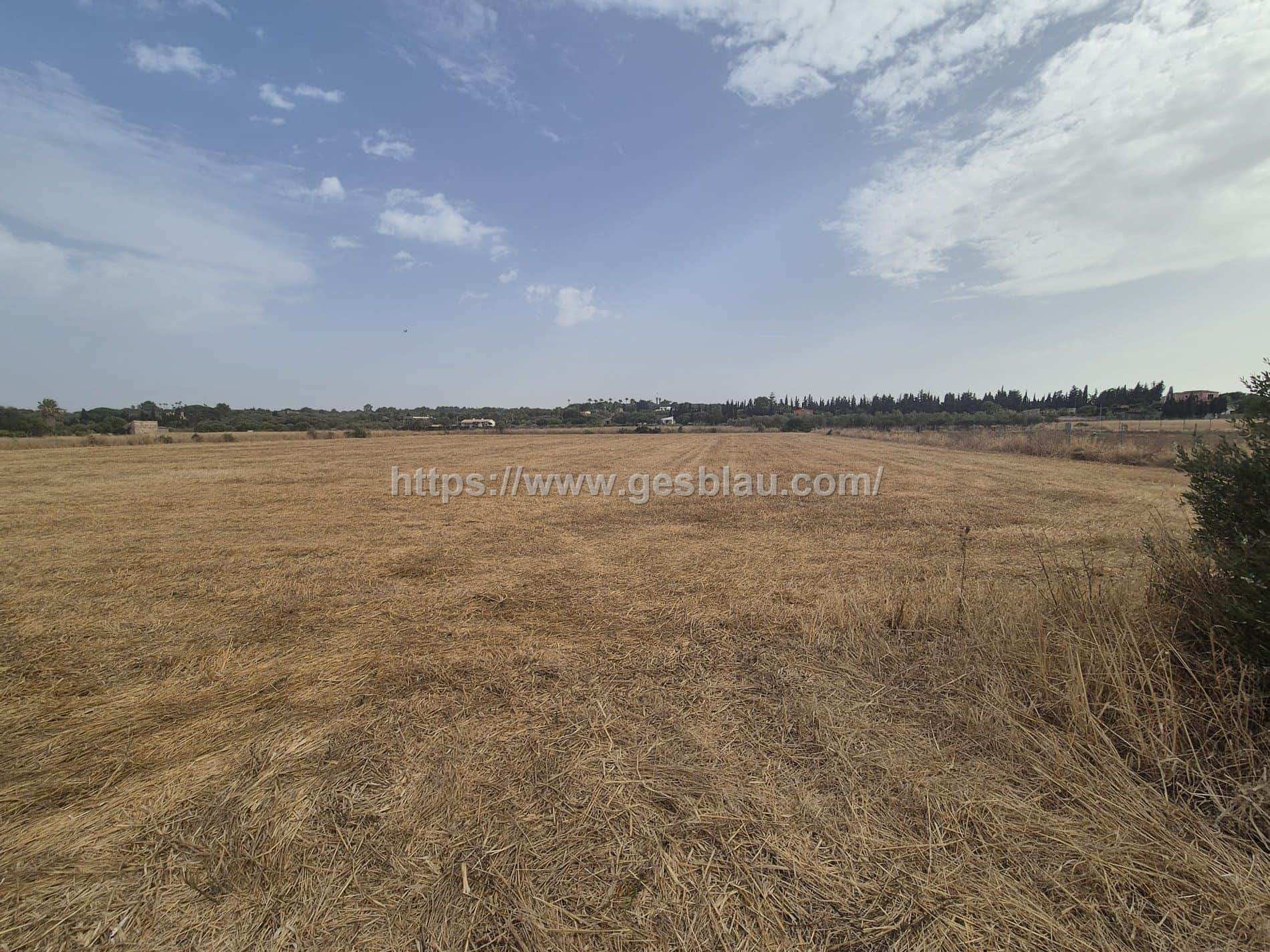 Terreno en venta en Muro - Foto 3