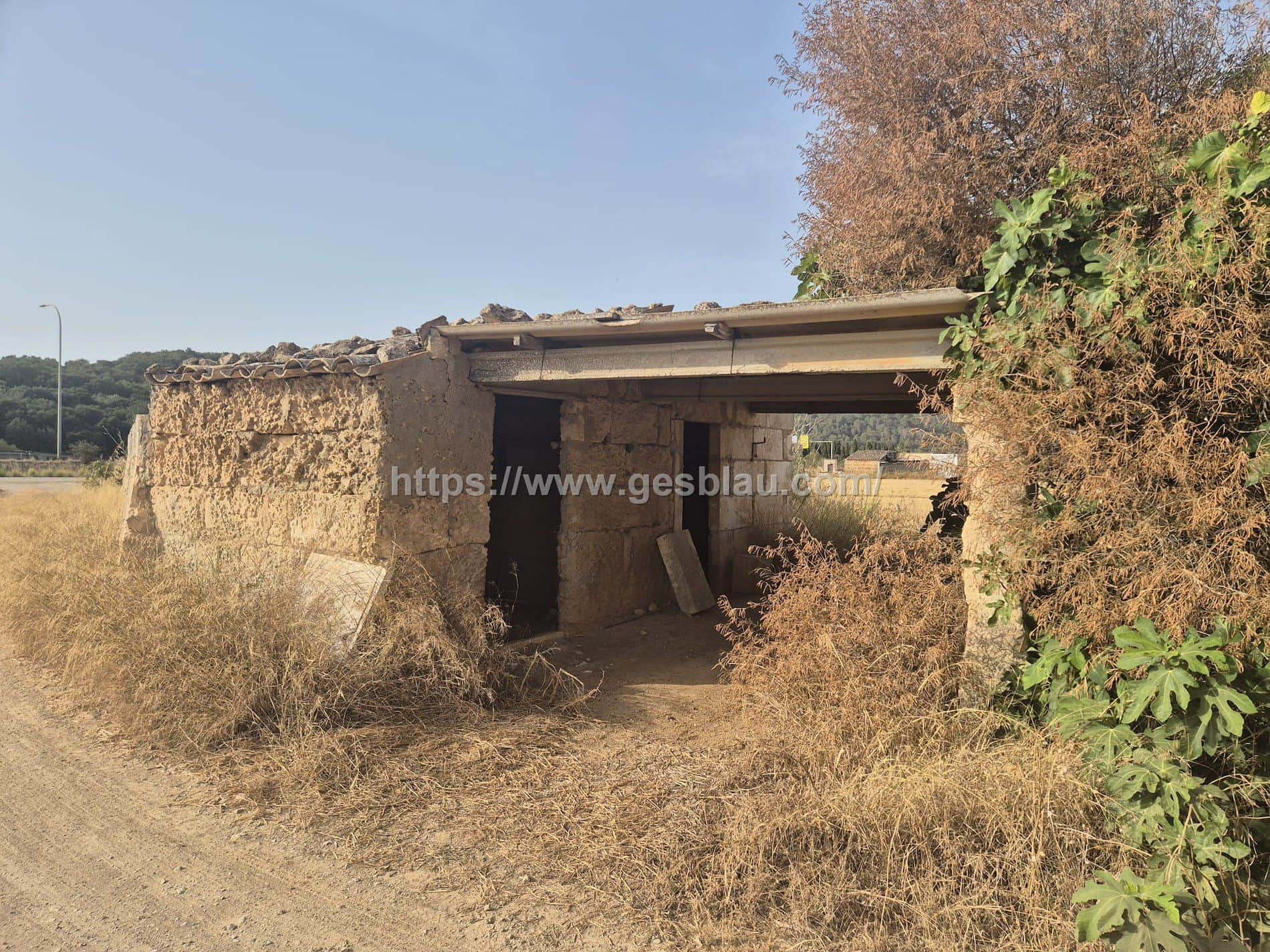 Terreno - Sa Pobla - Foto 1