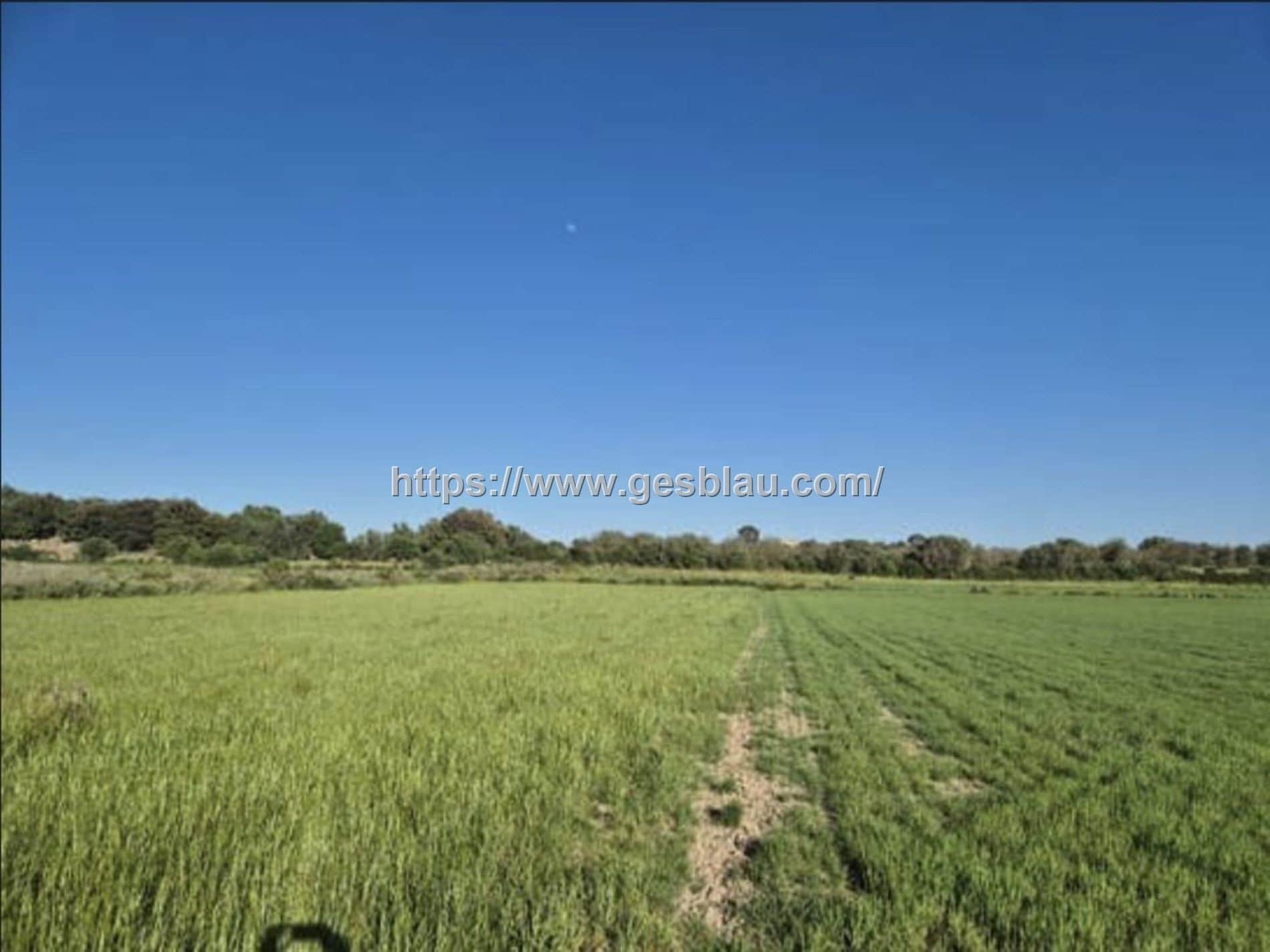 Terreno en venta en Muro - Foto 2