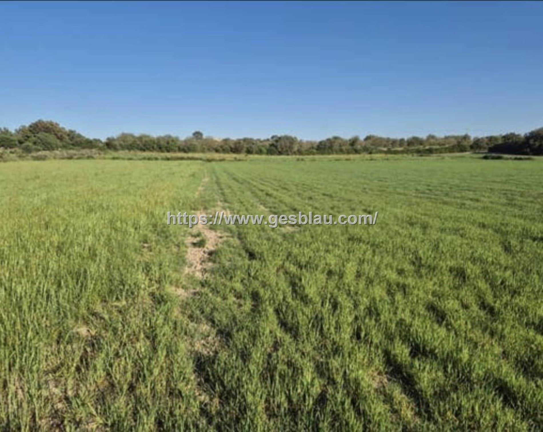 Terreno en venta en Muro - Foto 4