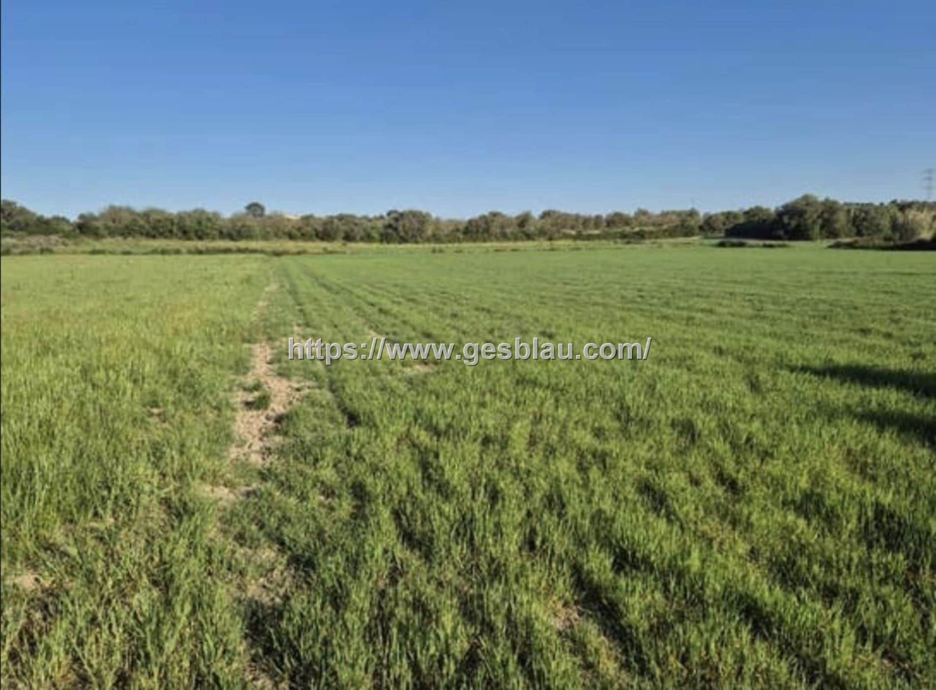 Terreno en venta en Muro - Foto 3