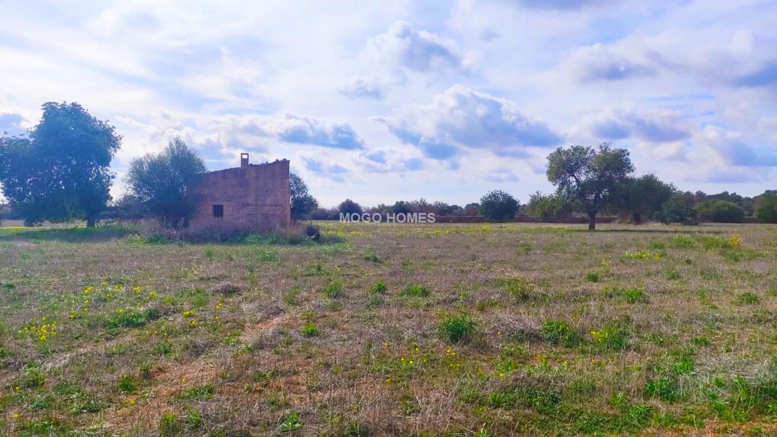Terreno en venta en Llucmajor - Foto 5