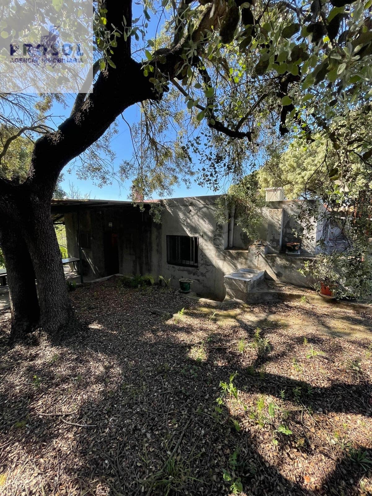MASÍA EN VENTA TÉRMINO VILLAFAMÉS - Foto 2