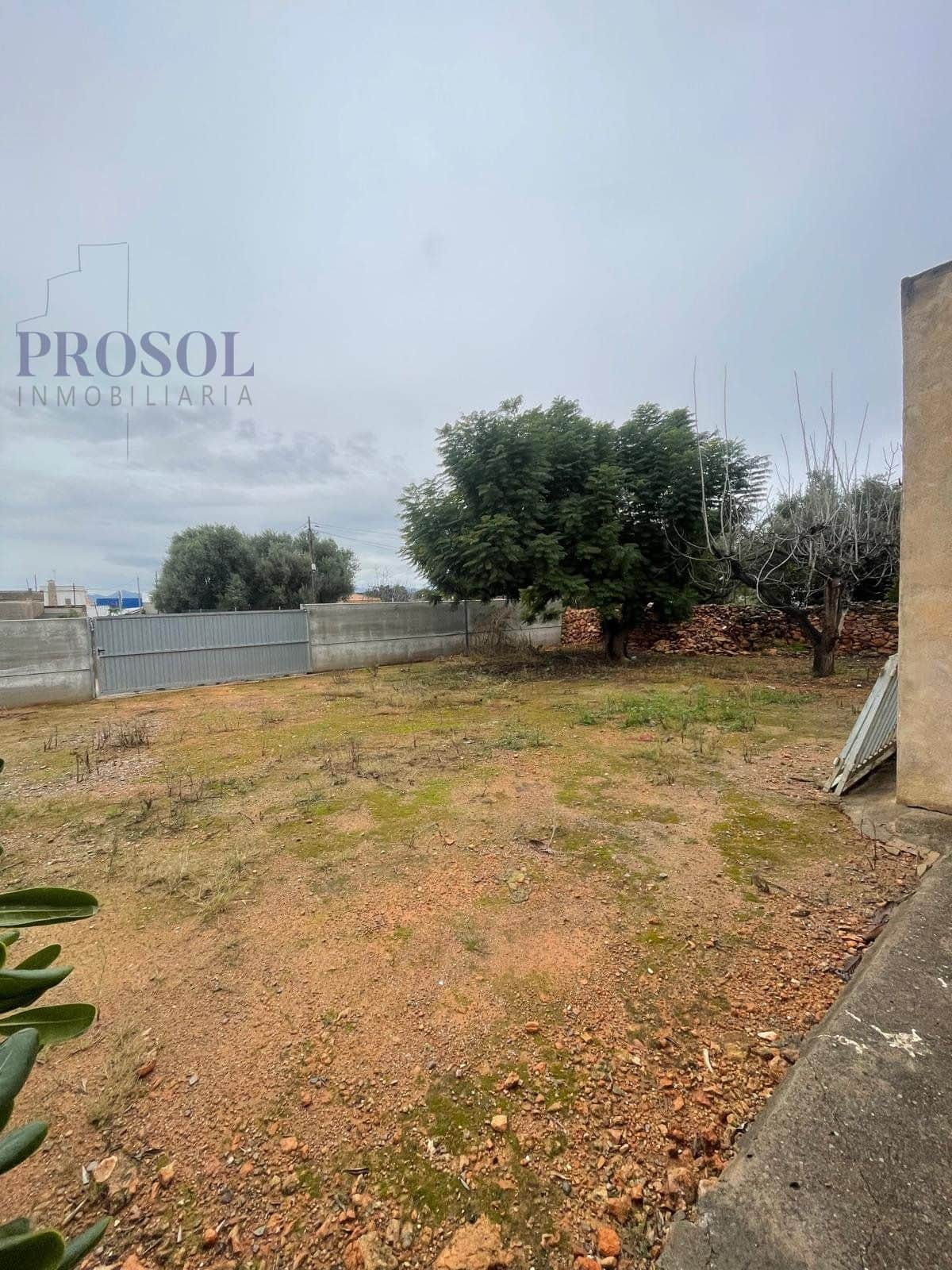 Maset con enorme potencial cerca de la calle Ermita - Foto 1