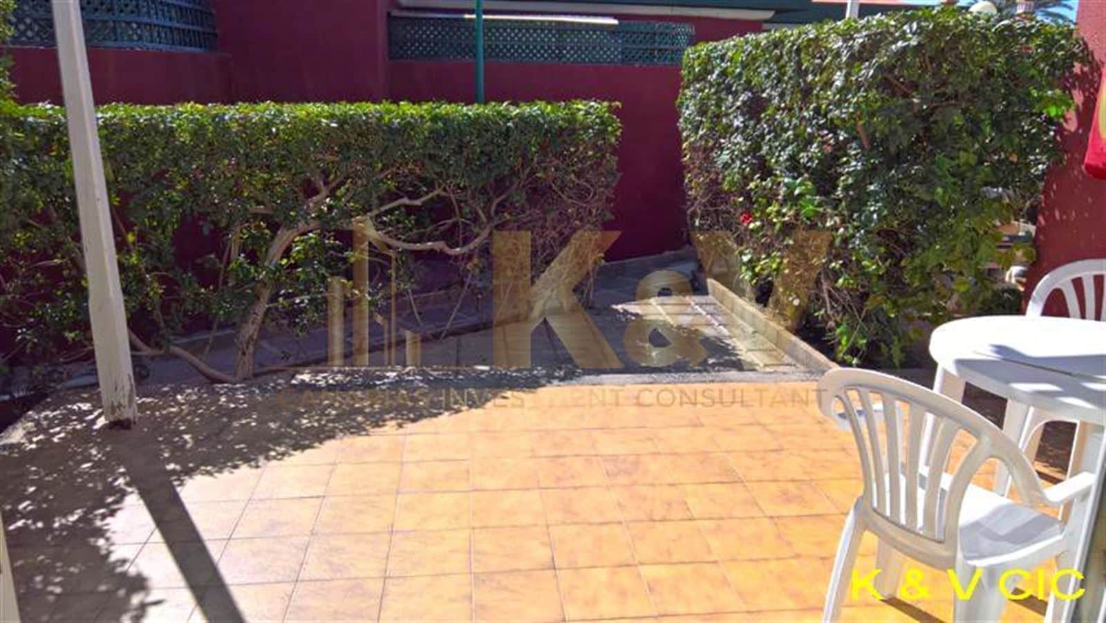 BUNGALOW CAMPO INTERNACIONAL DE MASPALOMAS CERCA DEL FARO 2 - Foto 2