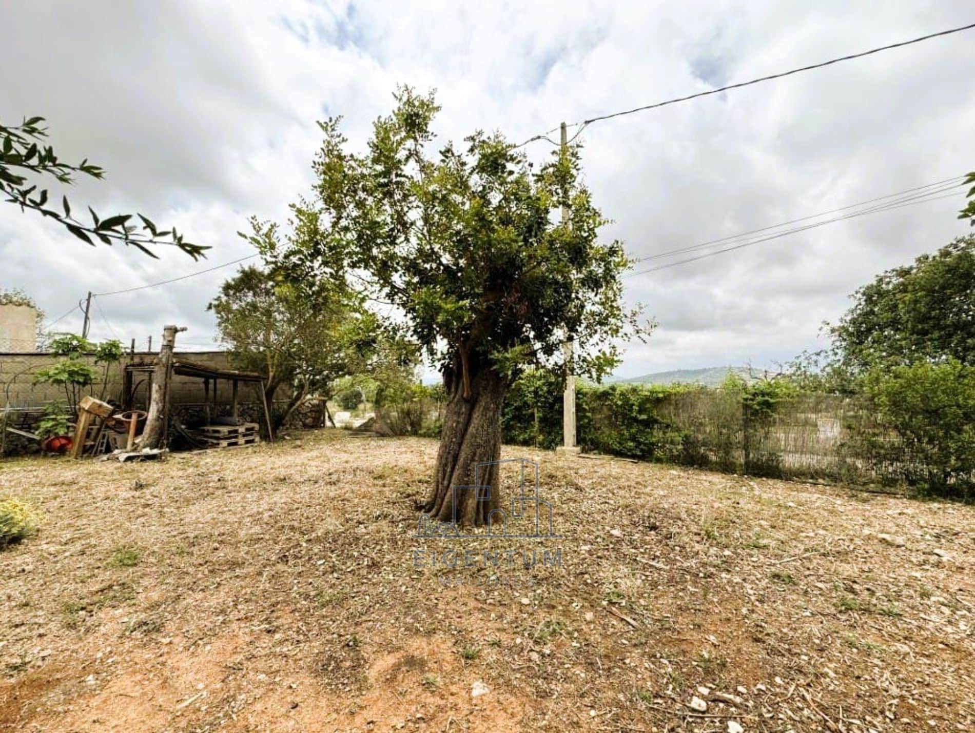 EXCLUSIVA FINCA MALLORQUINA RENOVADA - Foto 5