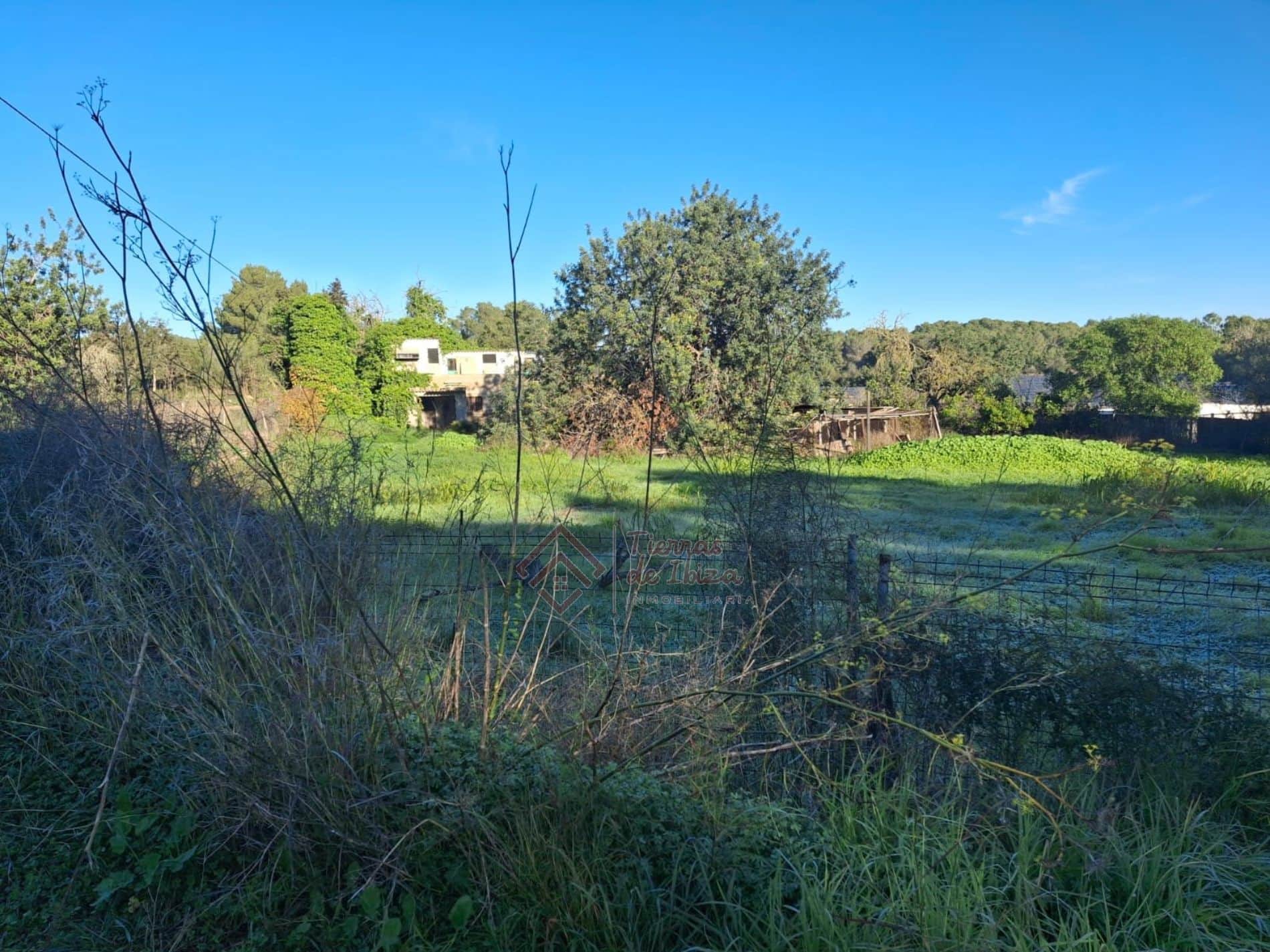 Casa con Parcela de 4.000m² en Puig d'en Valls - Foto 1
