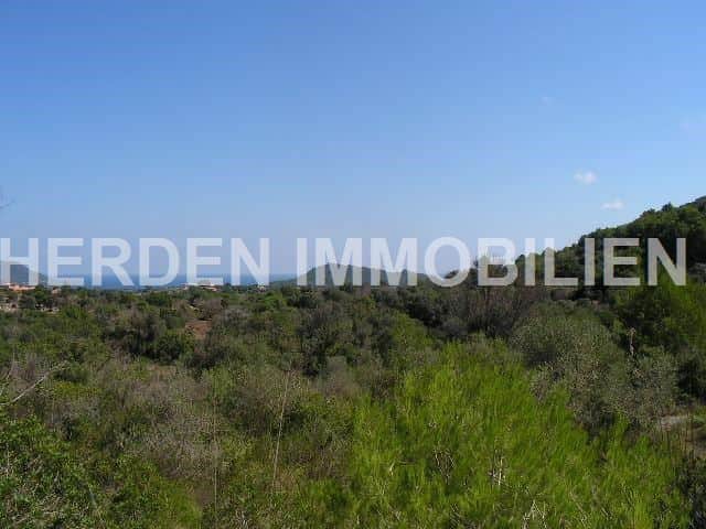 TERRENO SOLAR PARCELA EN SON SERVERA EN VENTA - Foto 4
