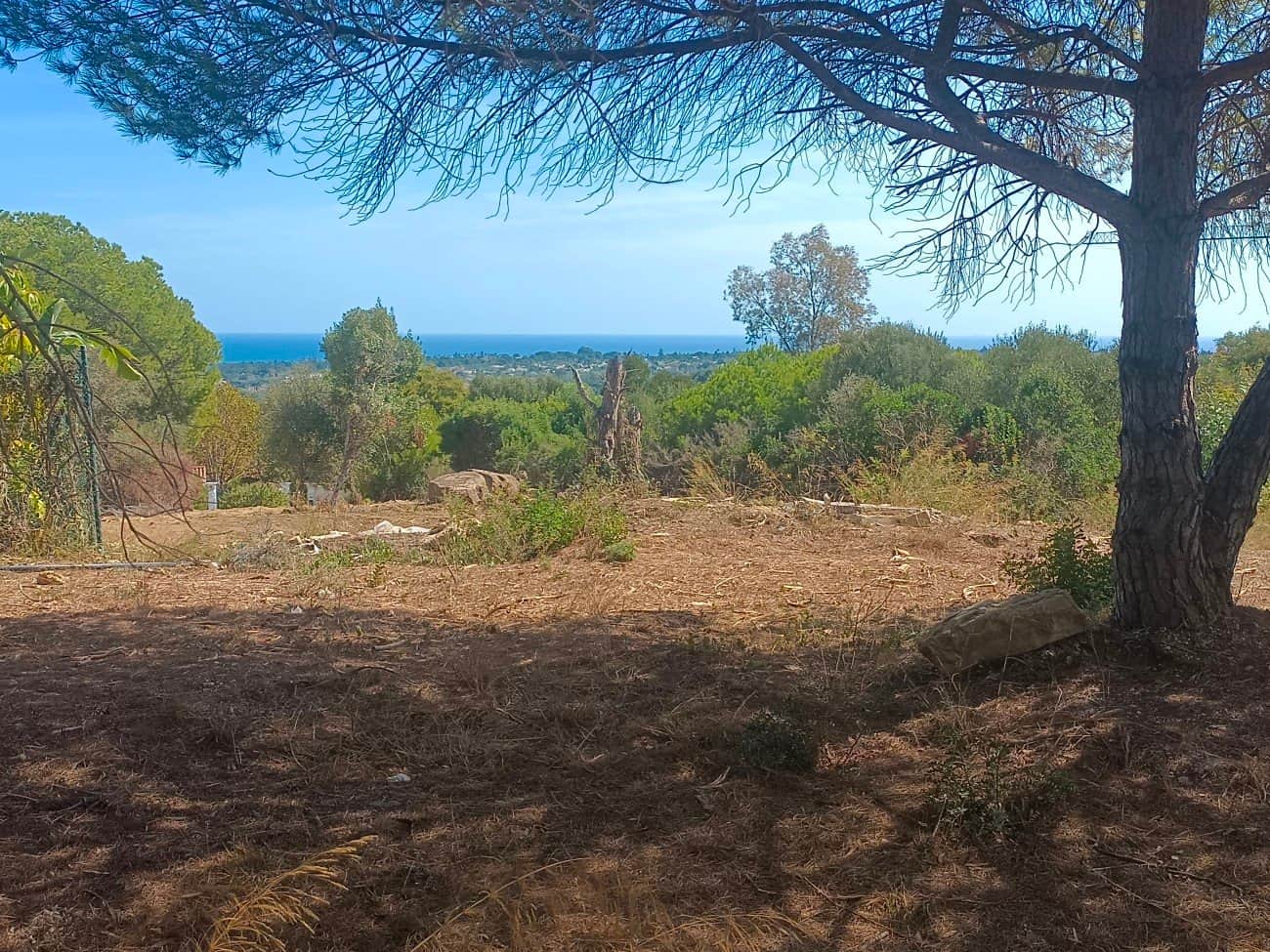 Donde el Golf se Funde con el Mar: Parcela Exclusiva en La Reserva de Sotogrande.- - Foto 2