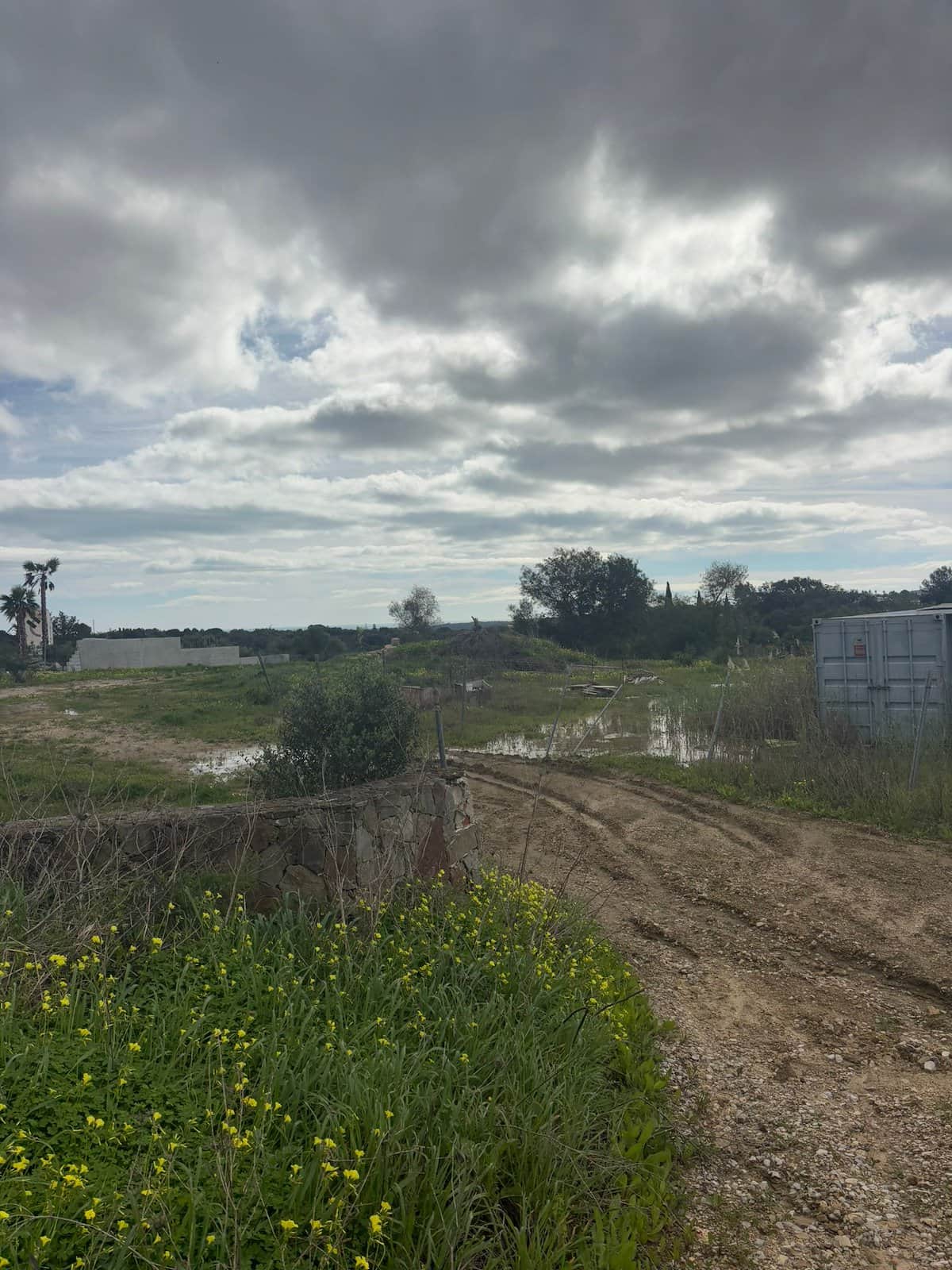 Magnífica parcela con orientación sur en La Reserva de Sotogrande, a escasos minutos del exclusivo La Reserva Club.- - Foto 1