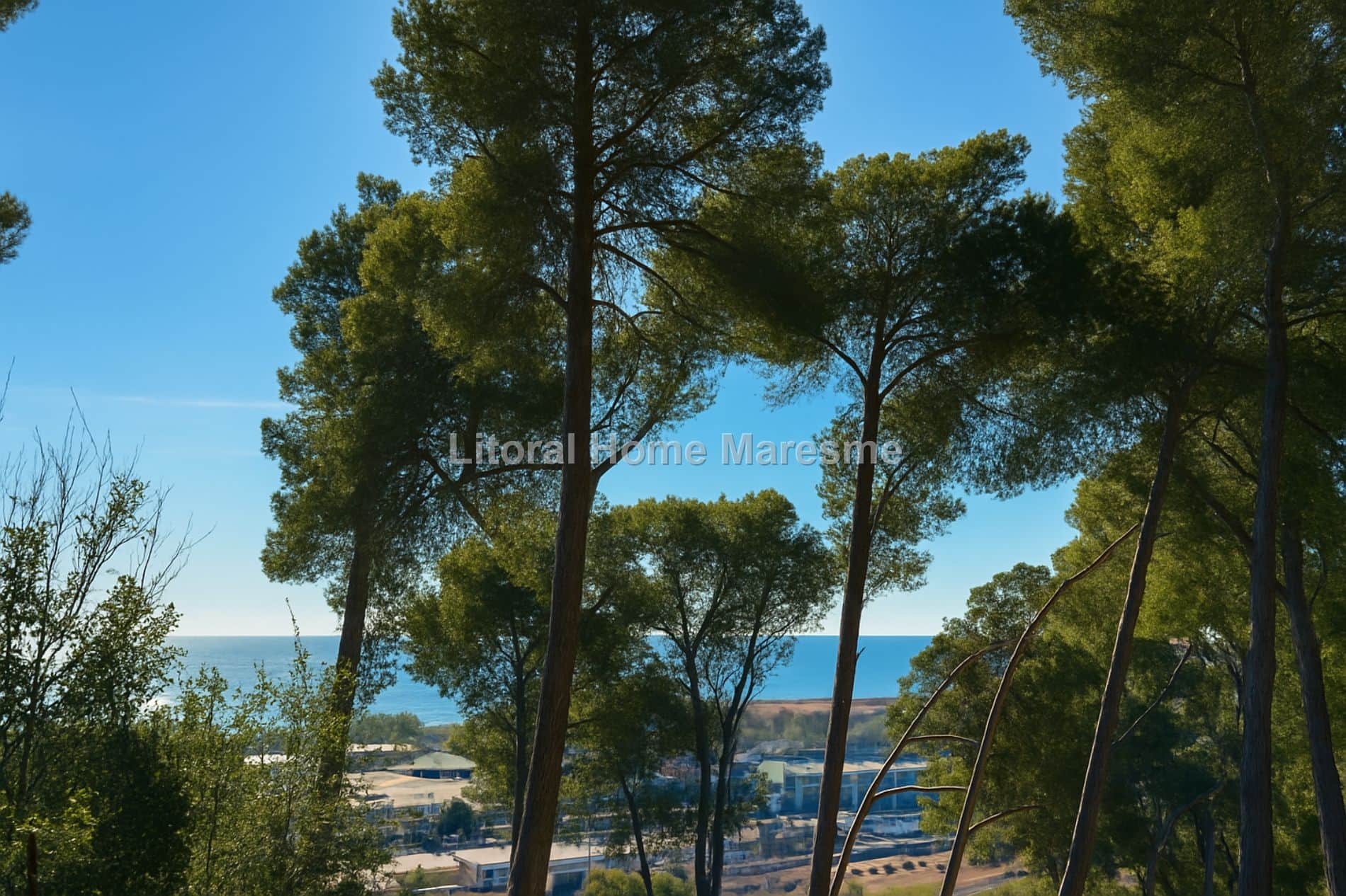 TERRENO PLANO CON VISTAS AL MAR  EN SANTA SUSANA - Foto 4