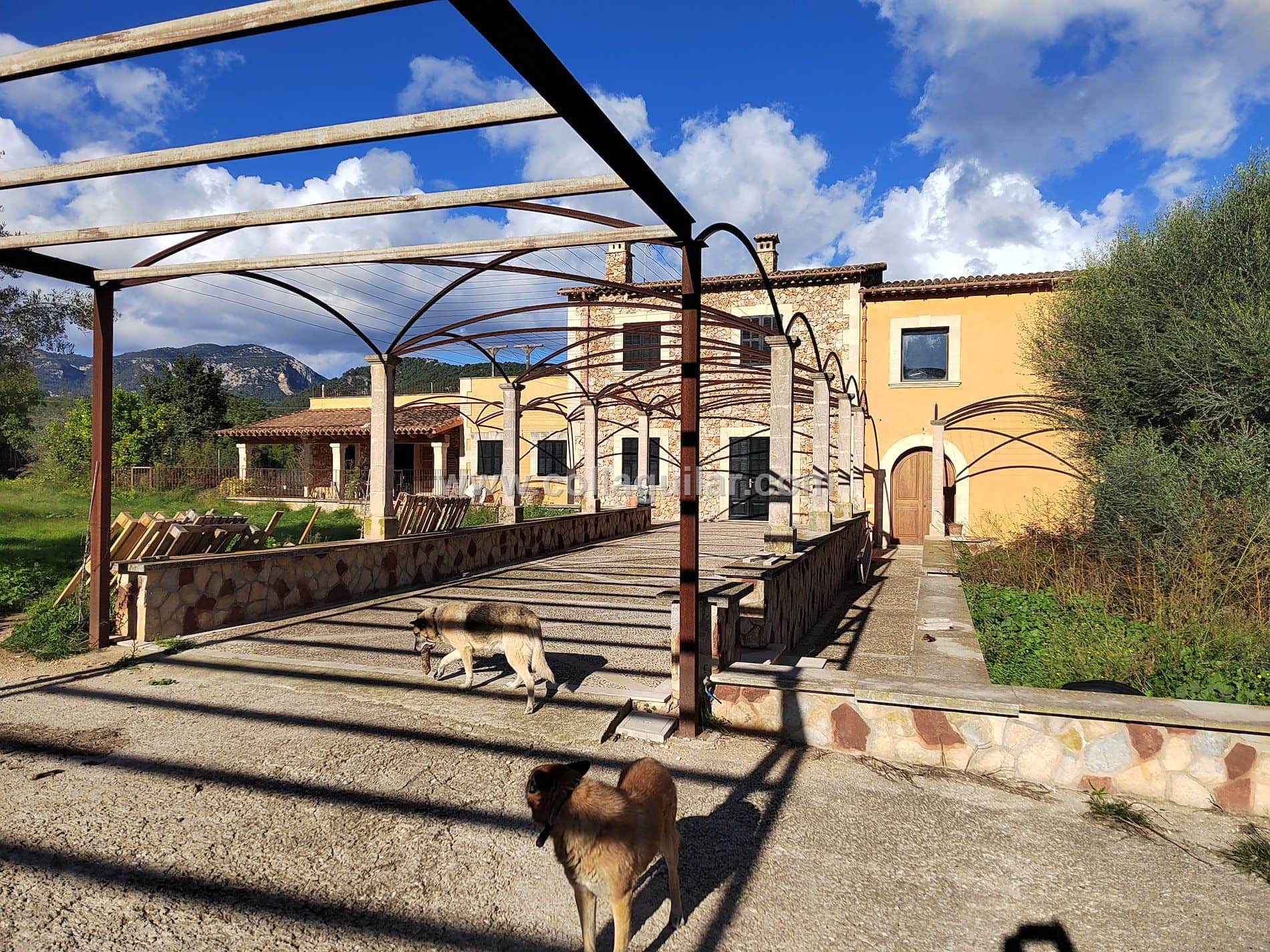 ESTABLIMENTS, CASA CON TERRENO - Foto 1