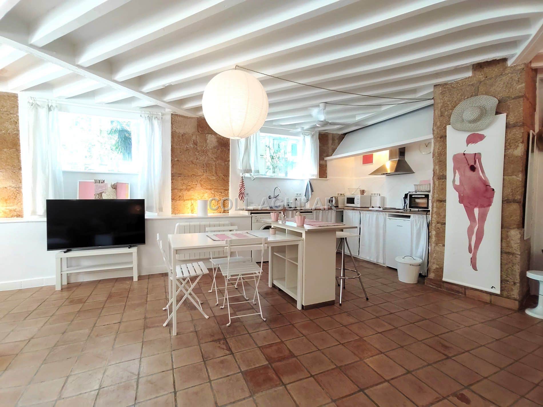 PLANTA BAJA ESTILO LOFT SOLEADA - Foto 4