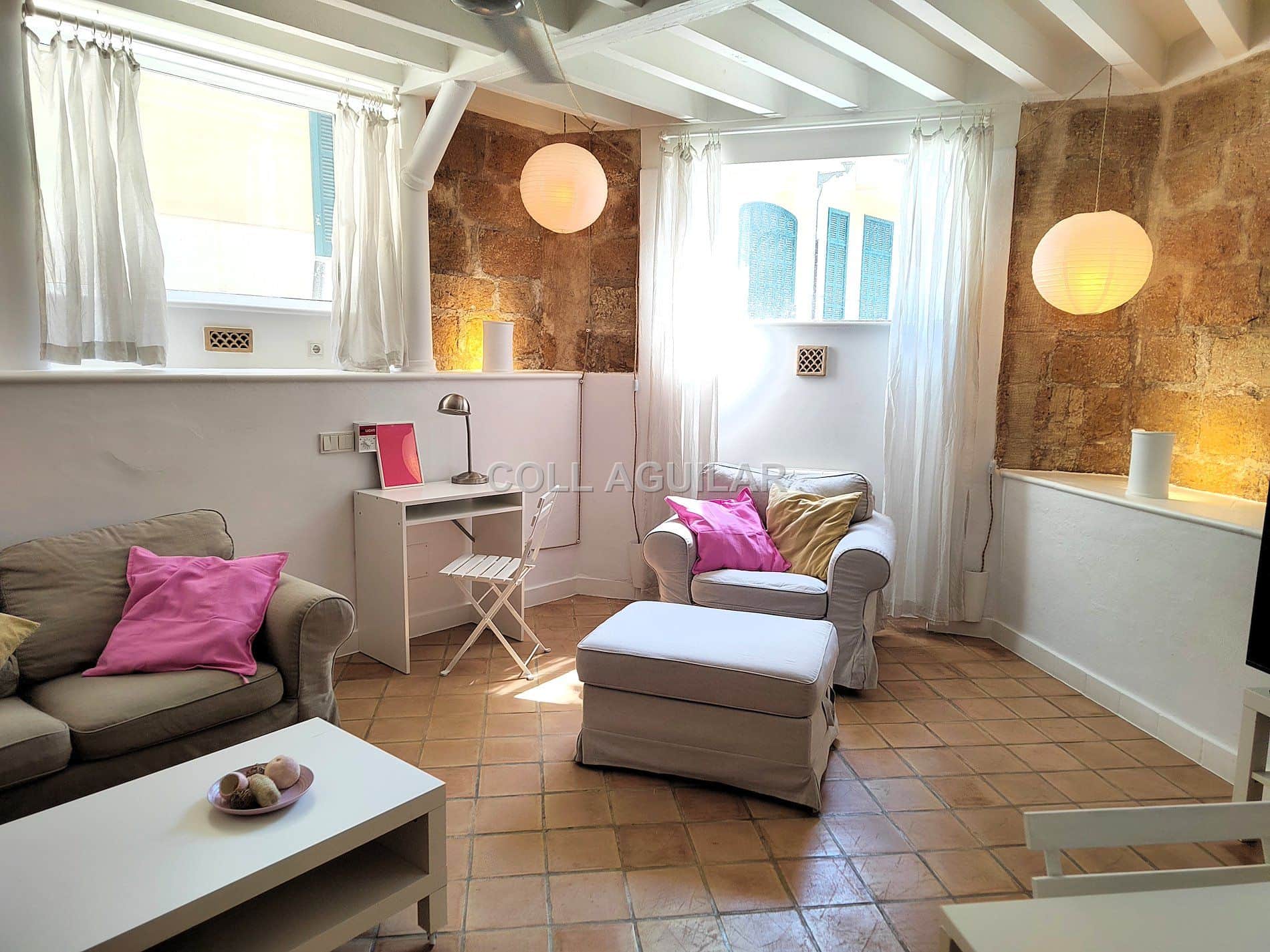 PLANTA BAJA ESTILO LOFT SOLEADA - Foto 1