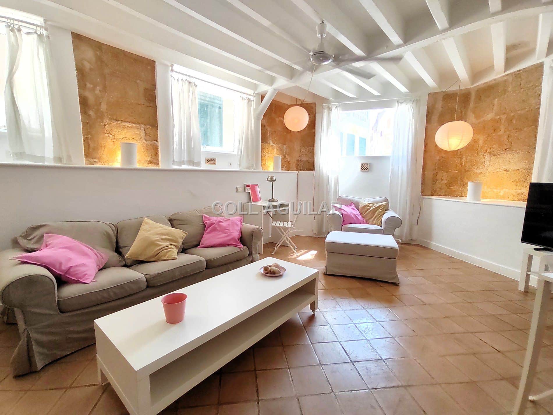 PLANTA BAJA ESTILO LOFT SOLEADA - Foto 5