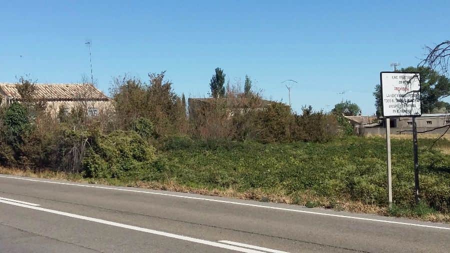 Terreno - Borja - Foto 2