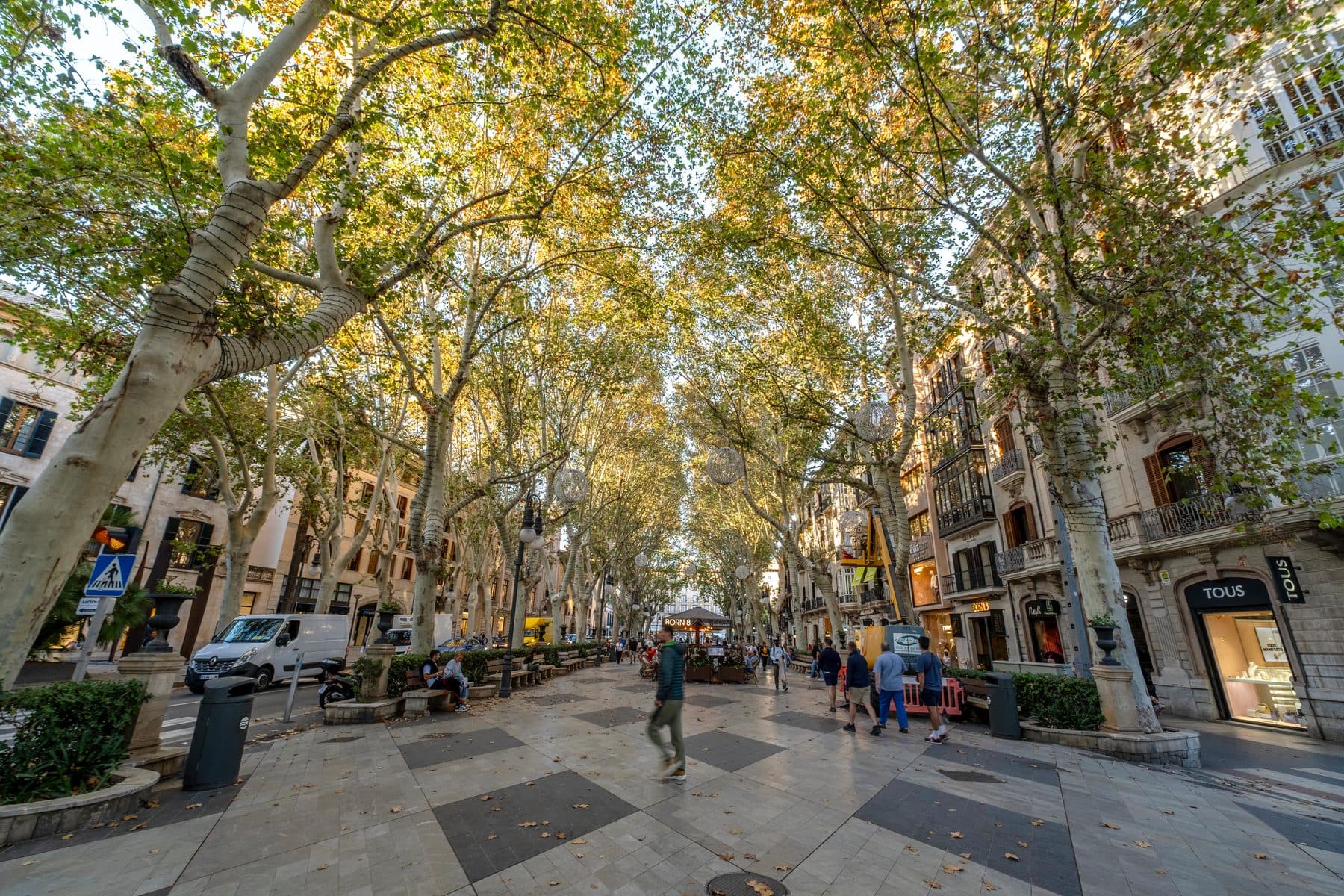 Paseo del Borne