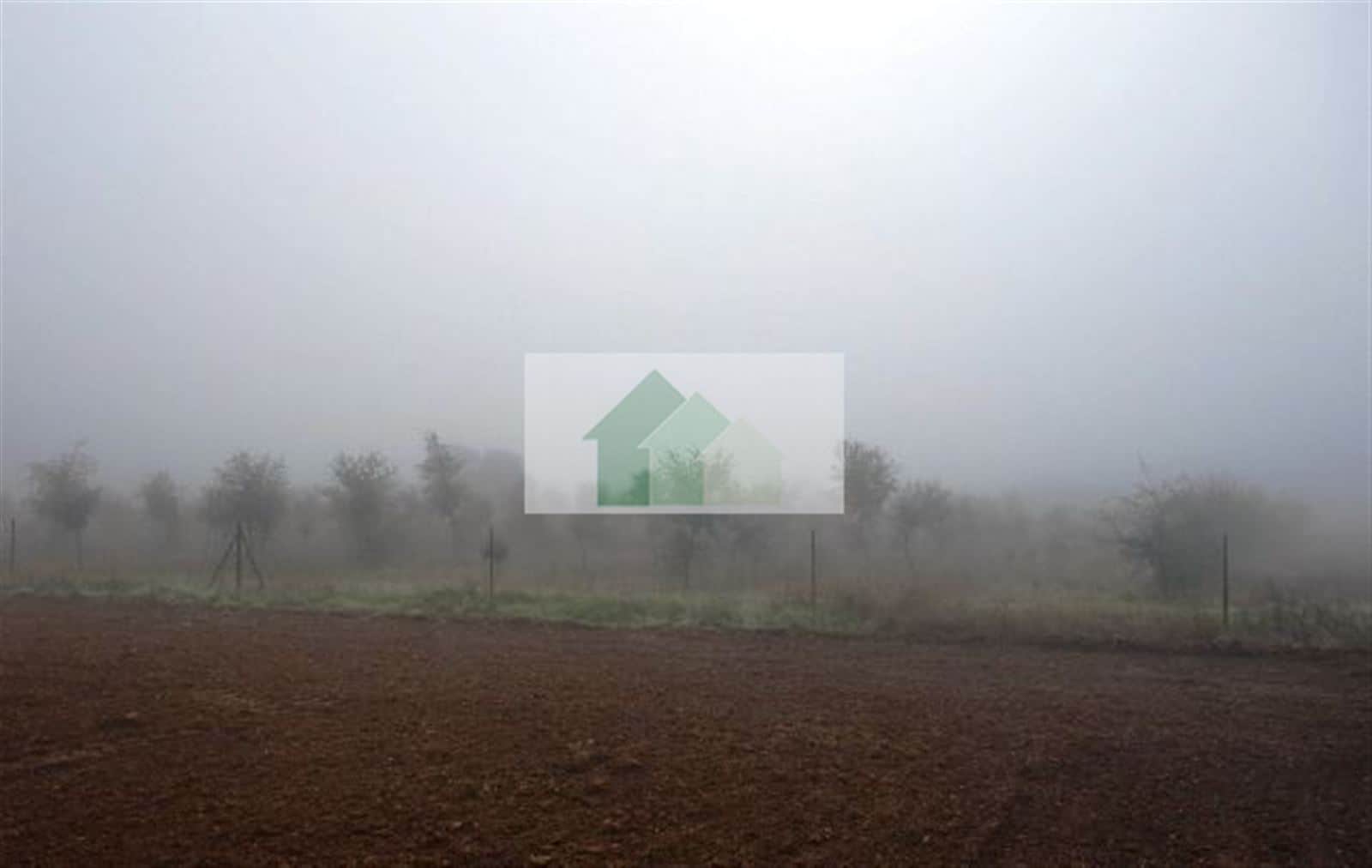 T-341: VENTA DE TERRENO VALLADO CON NAVE AGRICOLA .... - Foto 3