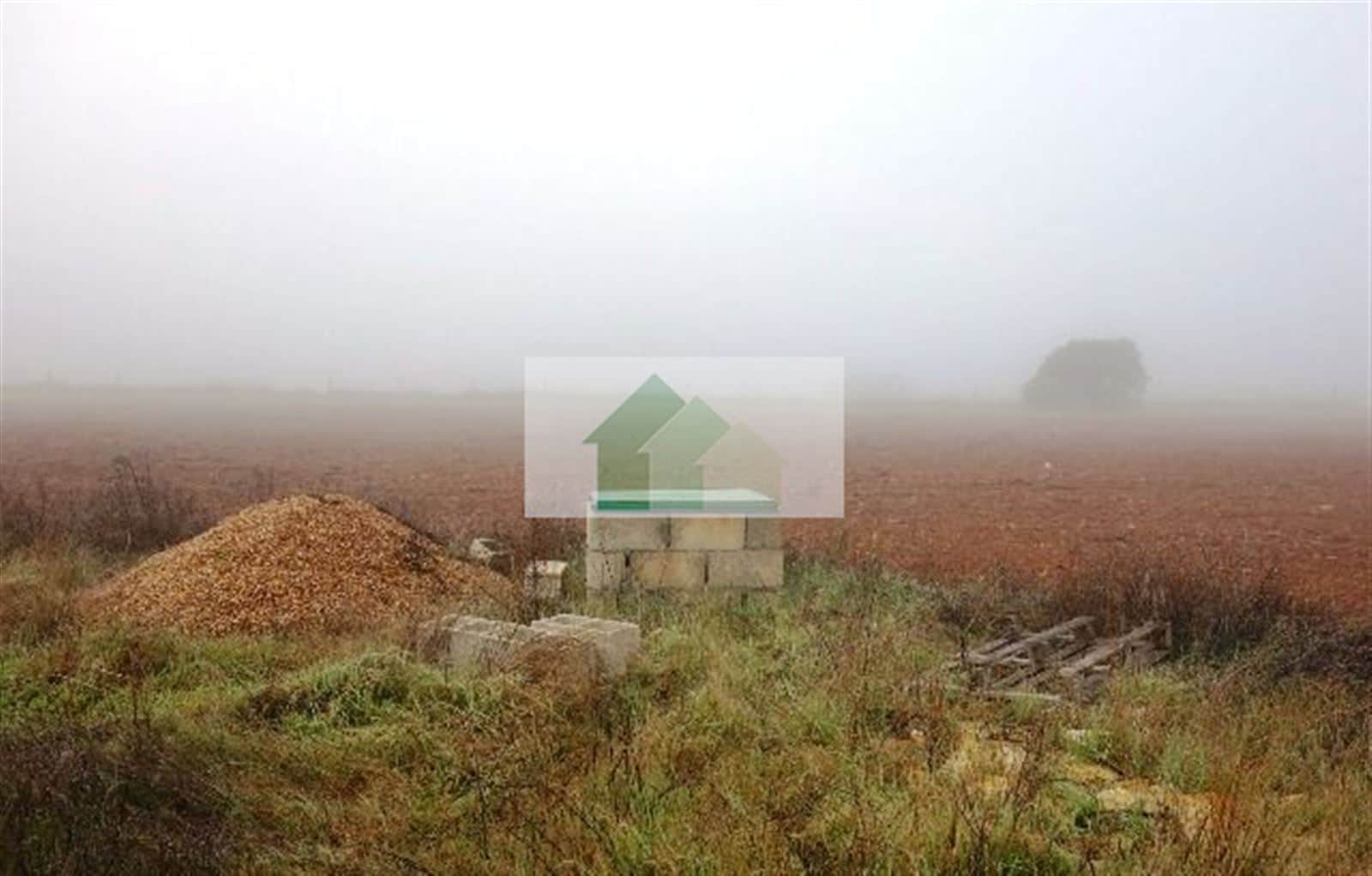 T-341: VENTA DE TERRENO VALLADO CON NAVE AGRICOLA .... - Foto 4