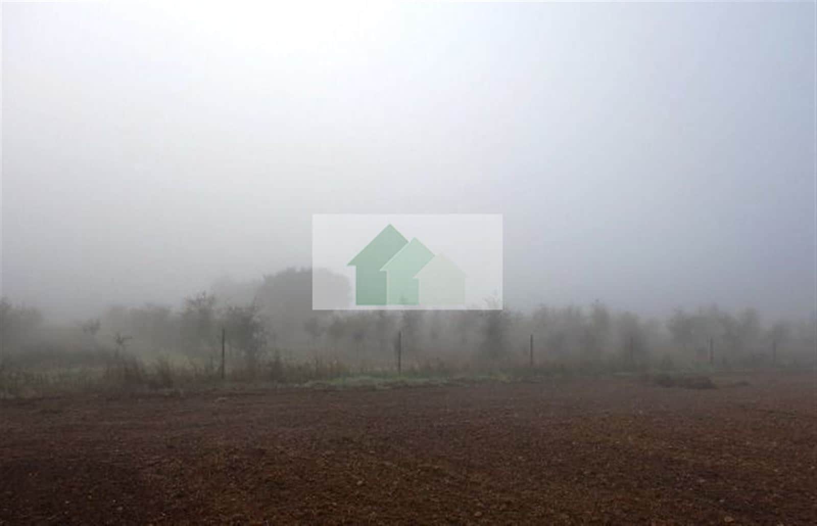 T-341: VENTA DE TERRENO VALLADO CON NAVE AGRICOLA .... - Foto 2
