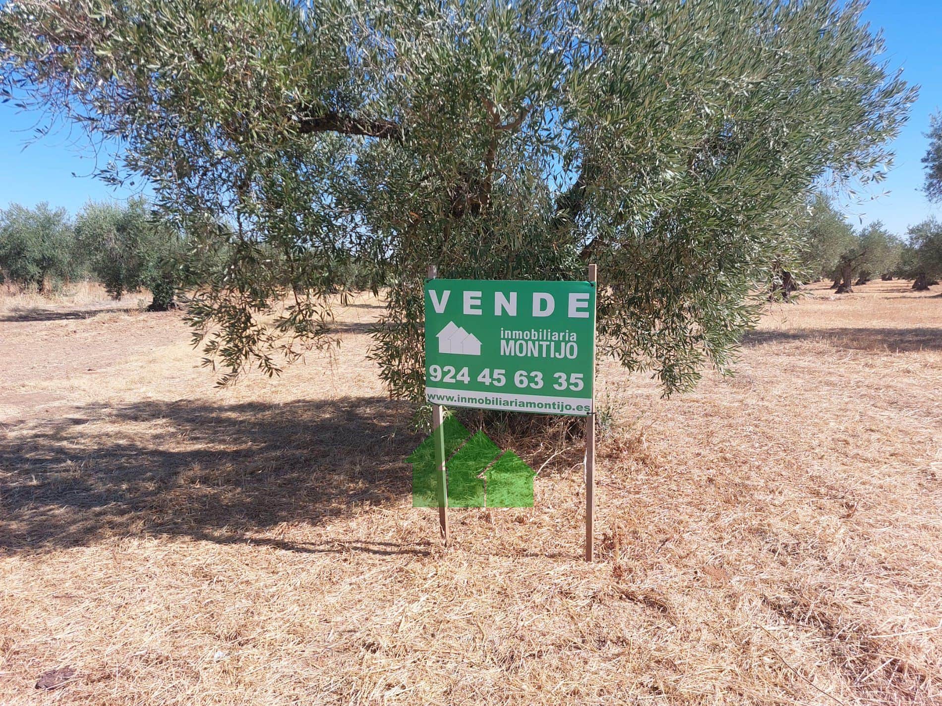 Terreno - Montijo - Foto 1